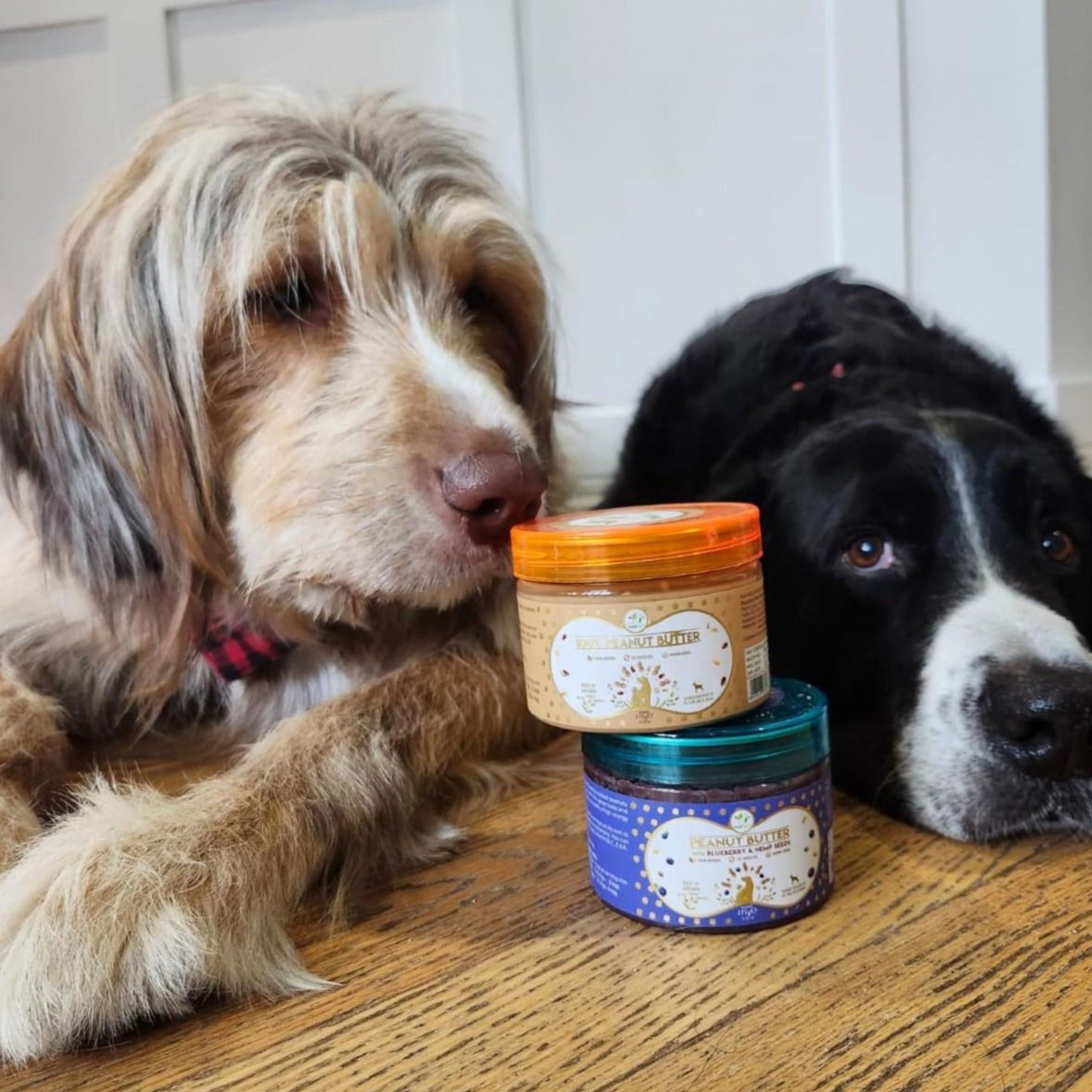 Beurre de cacahuète Banane et Lin Pawfect