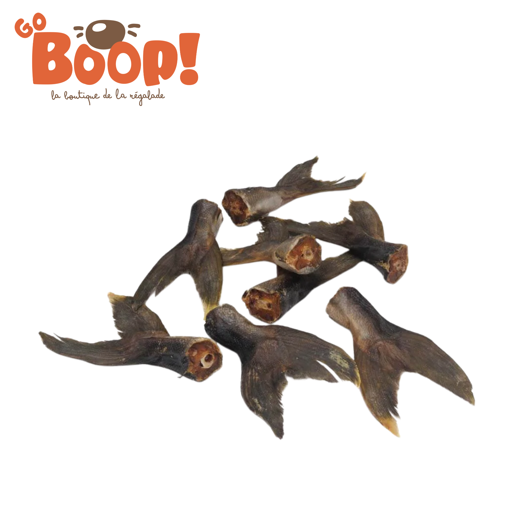 Queue de Thazard Rayé