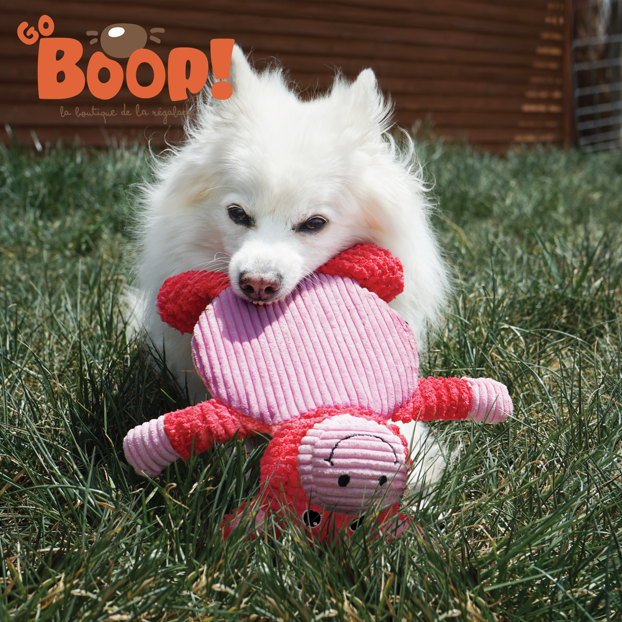 Kong Low stuff piggy