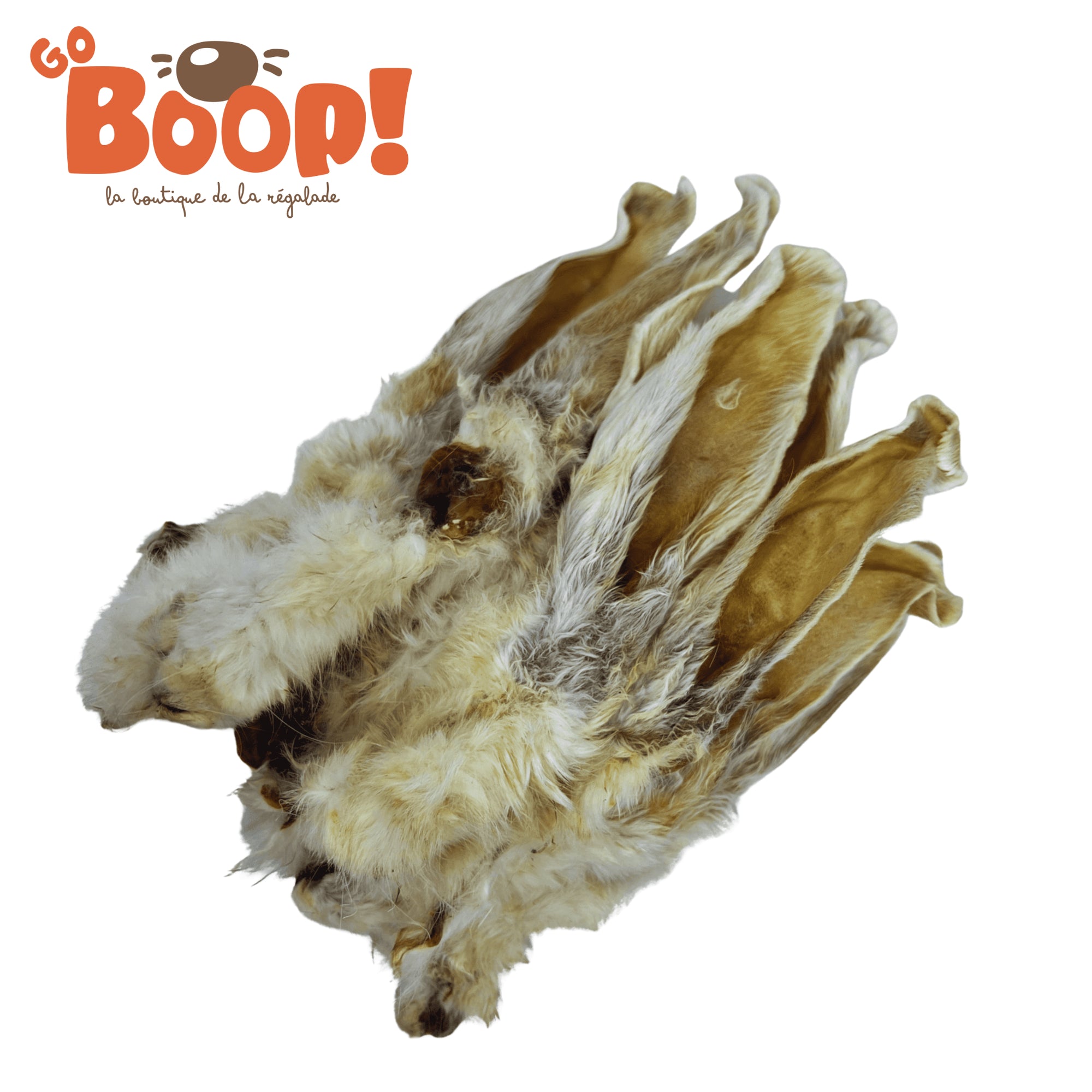 Oreille de lapin poilue