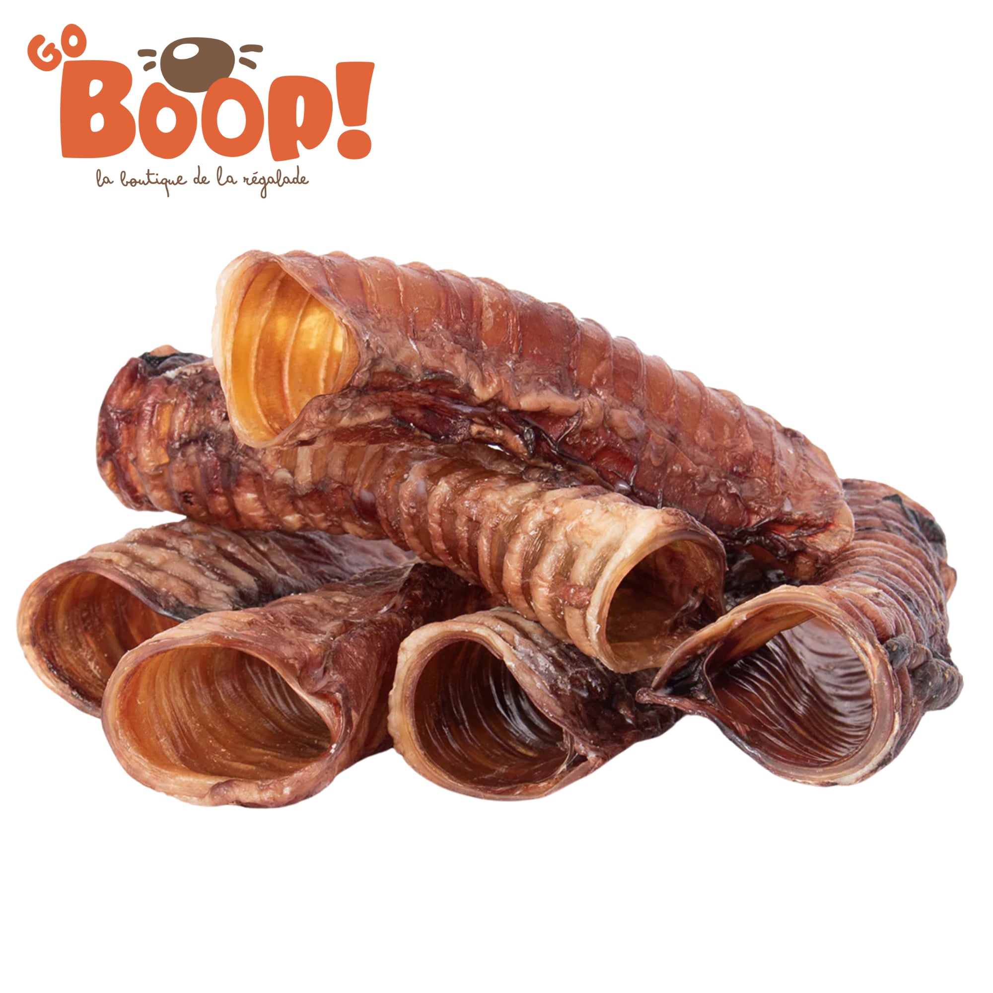 Trachée de boeuf 10/15cm