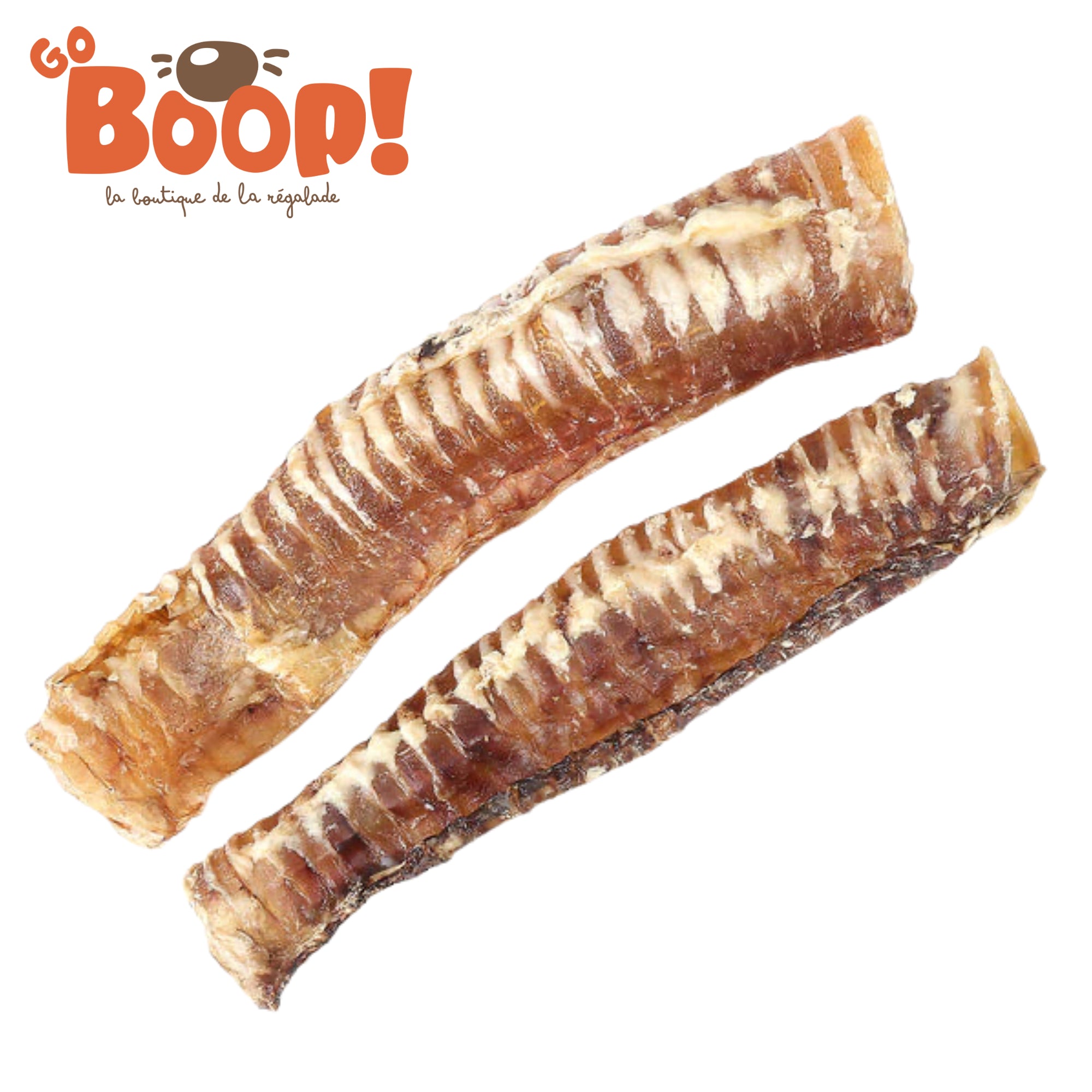 Trachée de boeuf XL 30cm