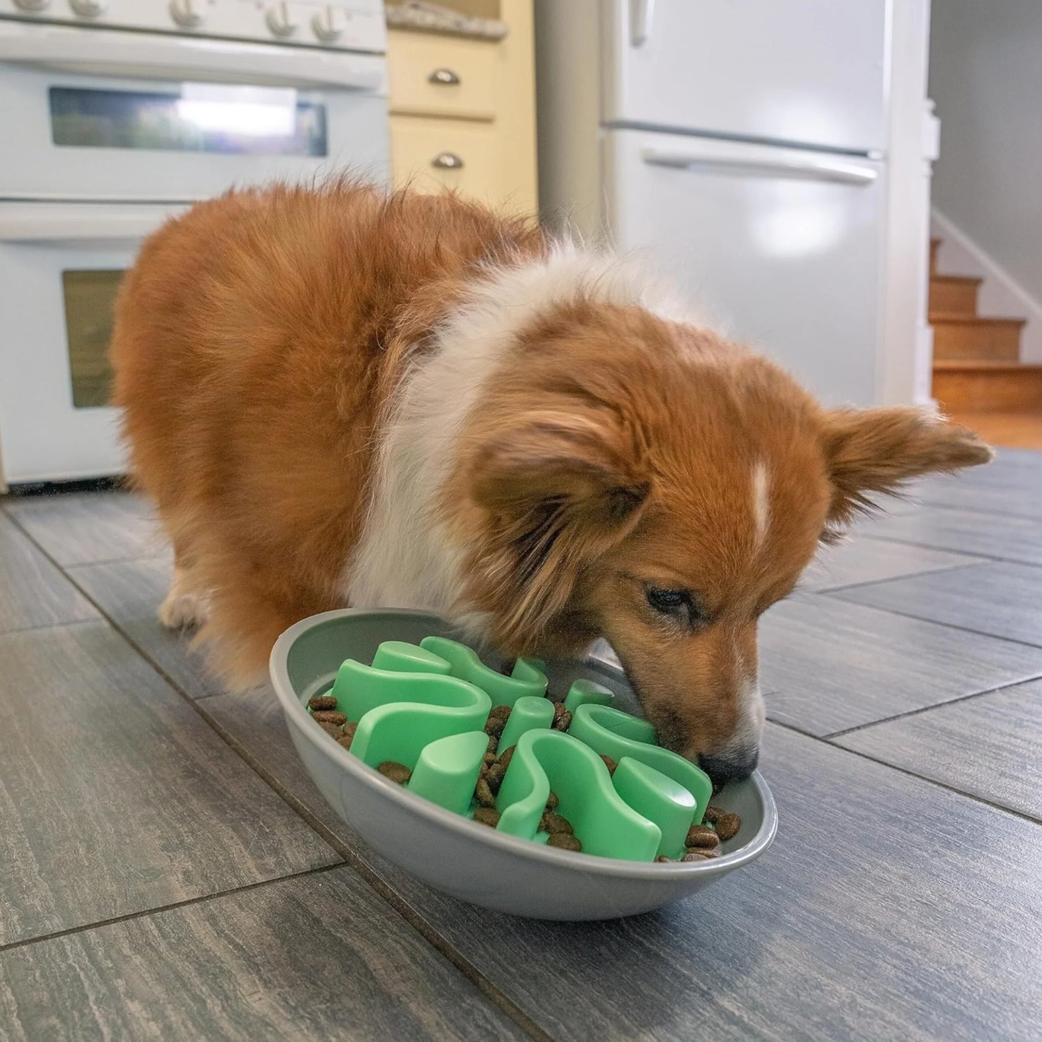 Wobbler Anti glouton - Nina Ottosson