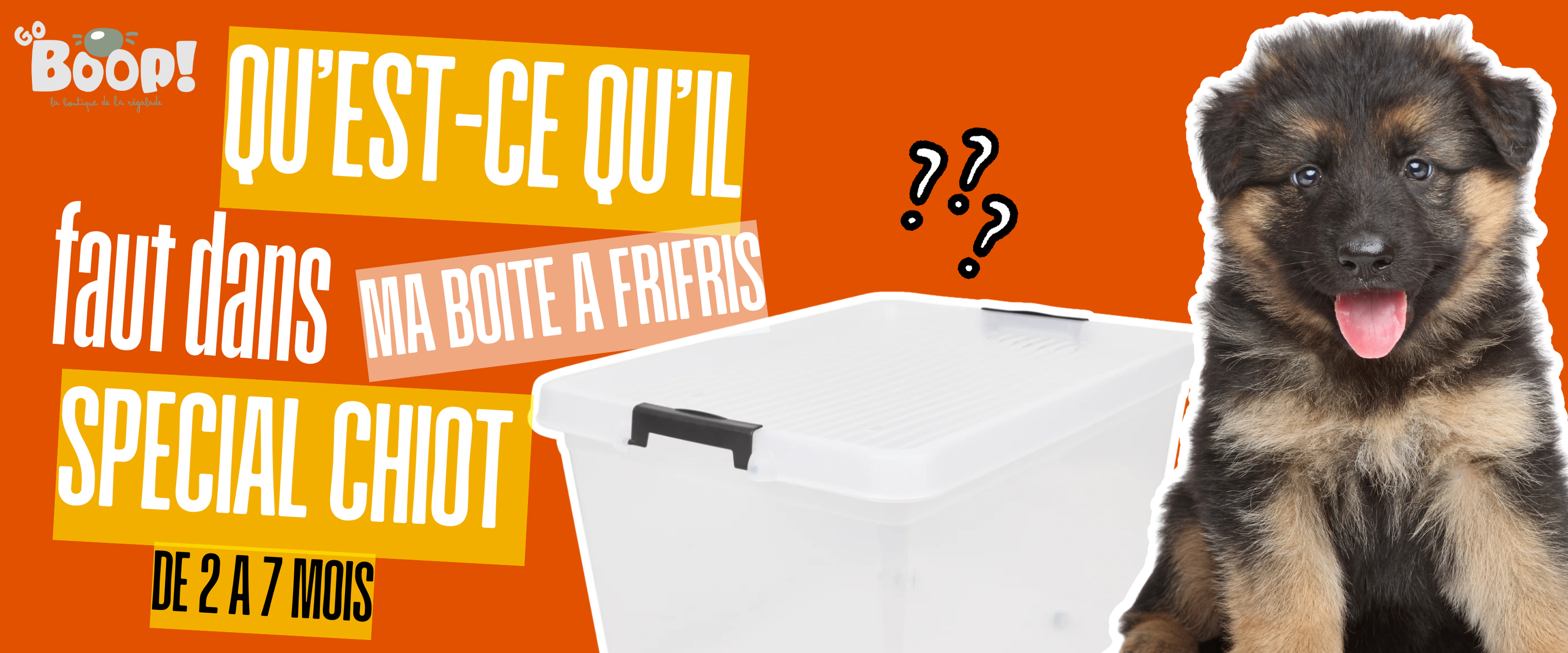 Friandise de mastication pour chiot : que donner à mâcher sans danger ?