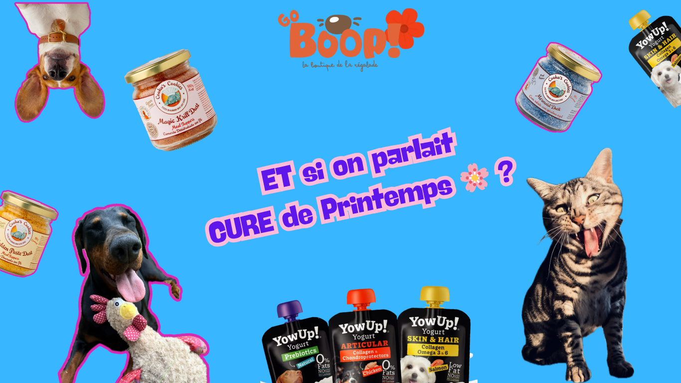 Cure de printemps pour chien et chat : quels compléments alimentaire ? 🌿