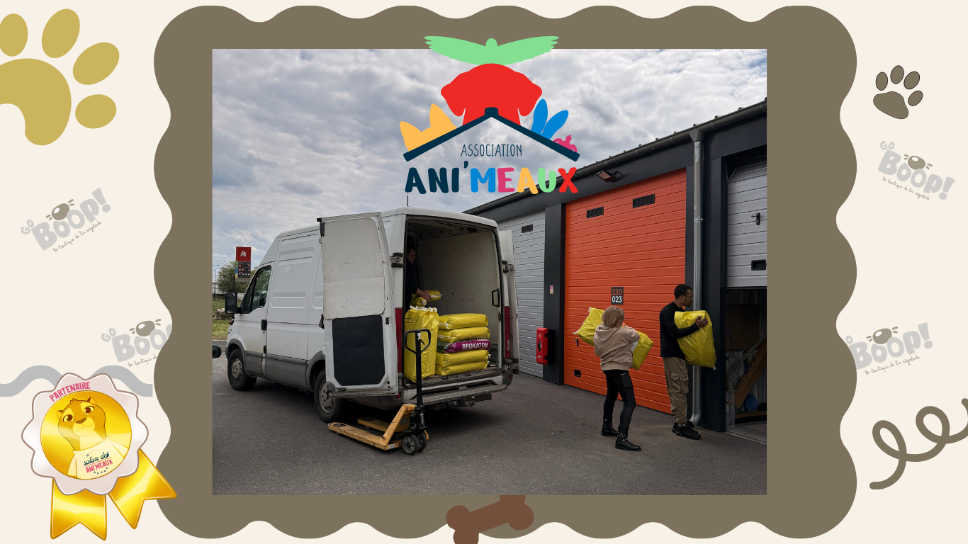 GoBoop & Ani’Meaux : notre engagement solidaire 2025 🐾