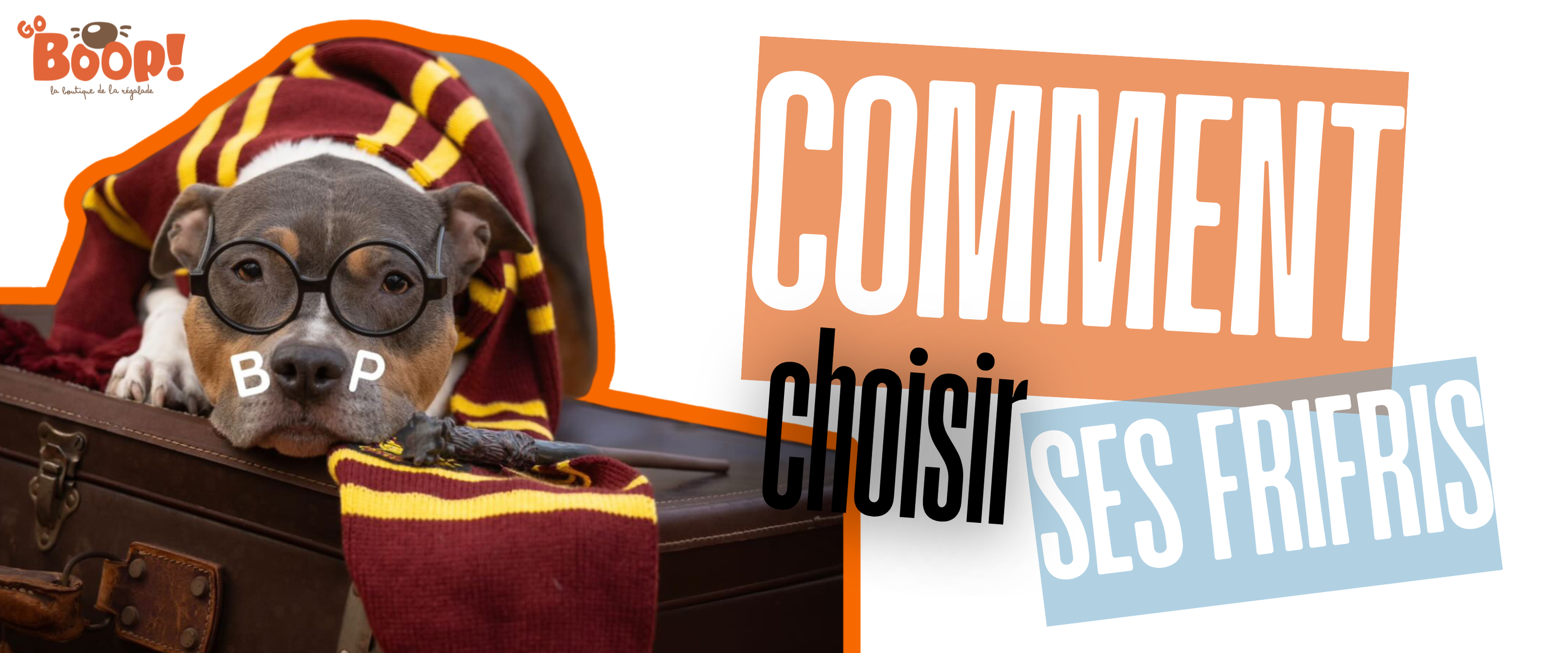 Comment choisir la mastication parfaite pour votre chien | Goboop