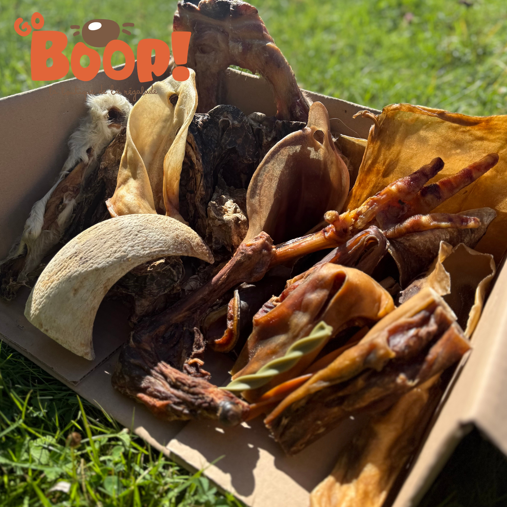 La Boop'Box Mastication Classique 🦴🐶 (Contenu de la box en descriptif)