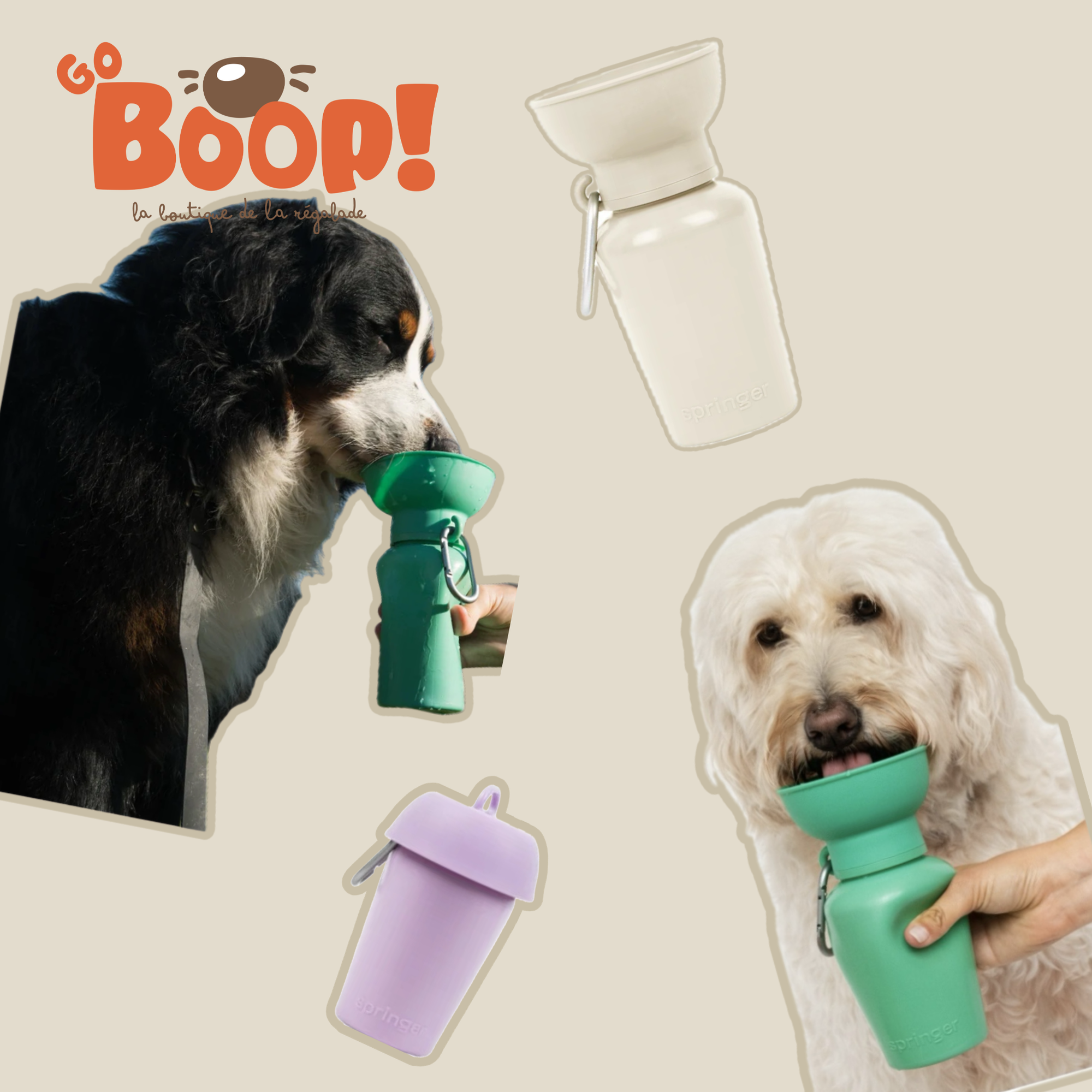 Springer - Gourde de voyage Flip Dog 🐶💦 (590ML)