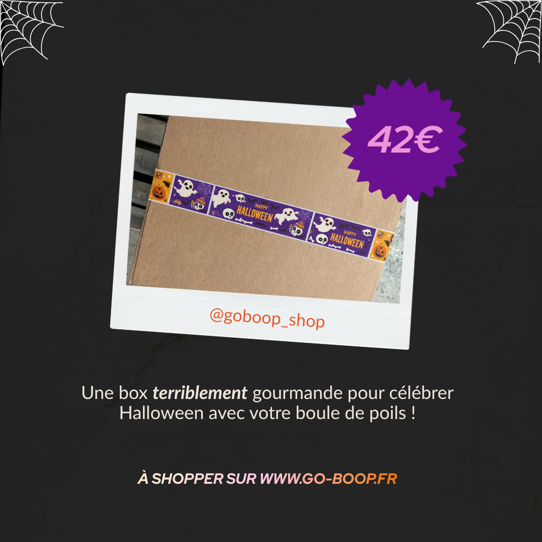 La BoOHOOOp'Box Halloween 👻 🎃