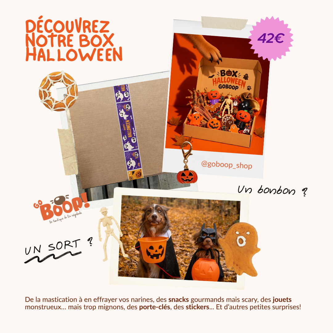 La BoOHOOOp'Box Halloween 👻 🎃