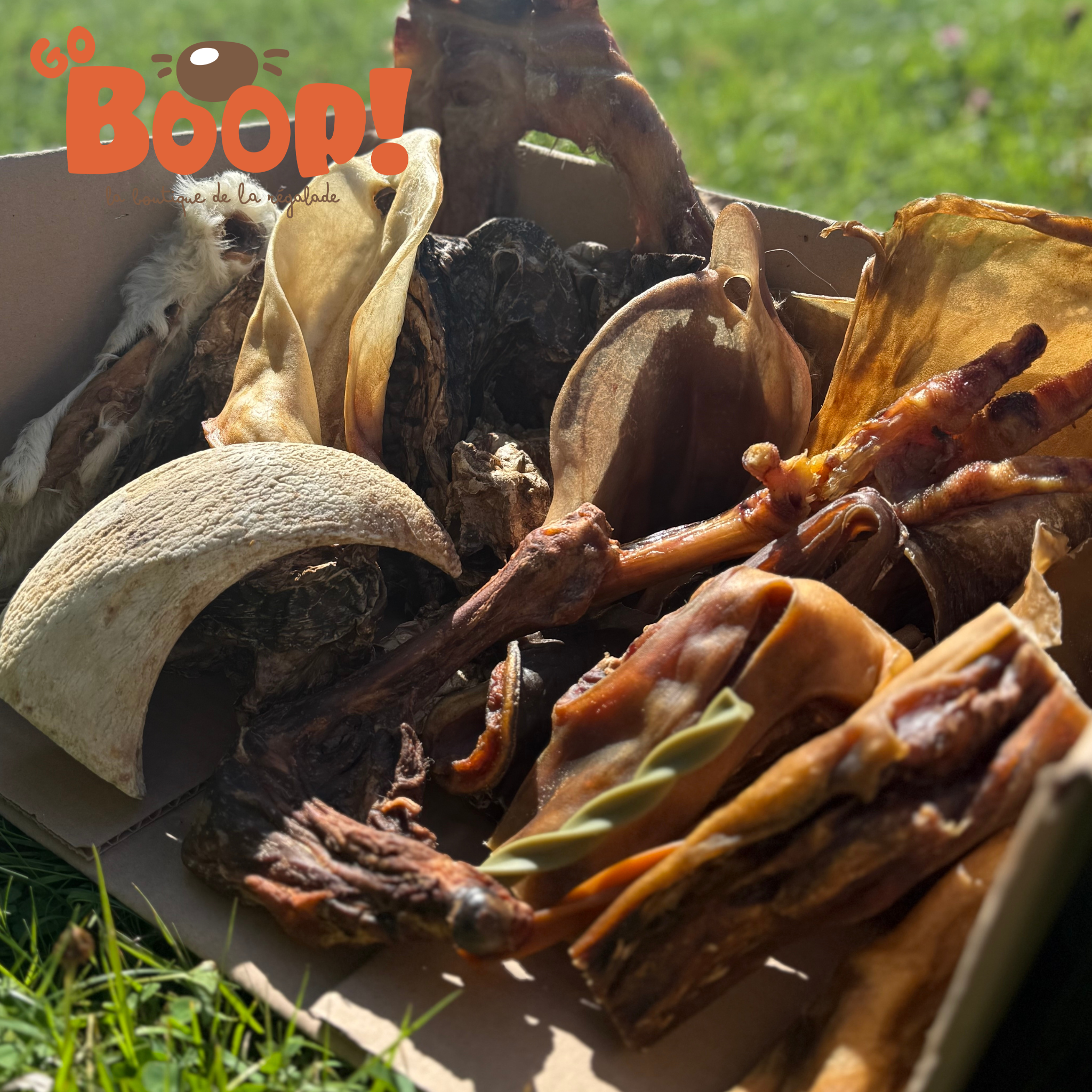 La Boop'Box de Mastication - 🍂Fall Is Coming 🍂
