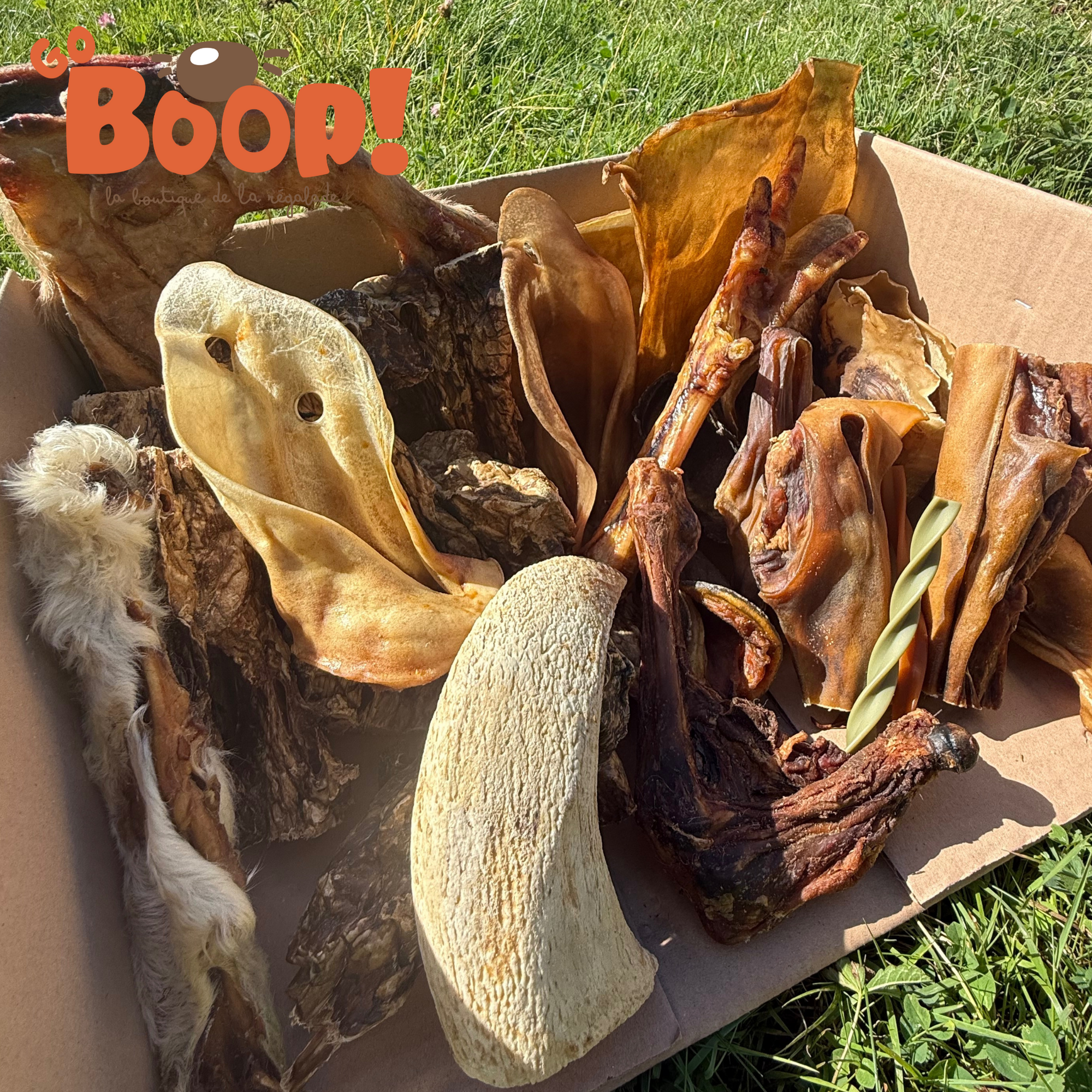 La Boop'Box de Mastication - 🍂Fall Is Coming 🍂