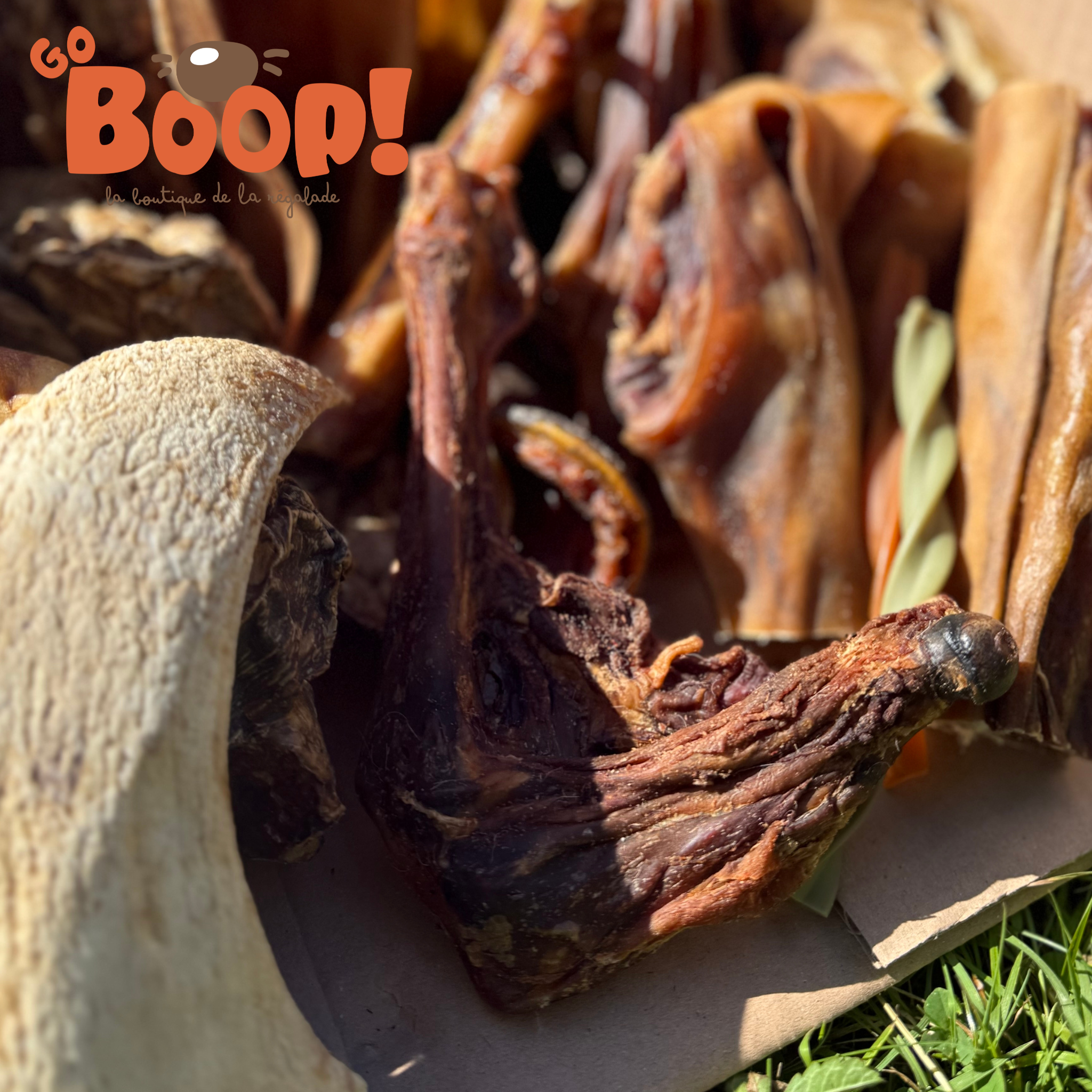 La Boop'Box de Mastication - 🍂Fall Is Coming 🍂