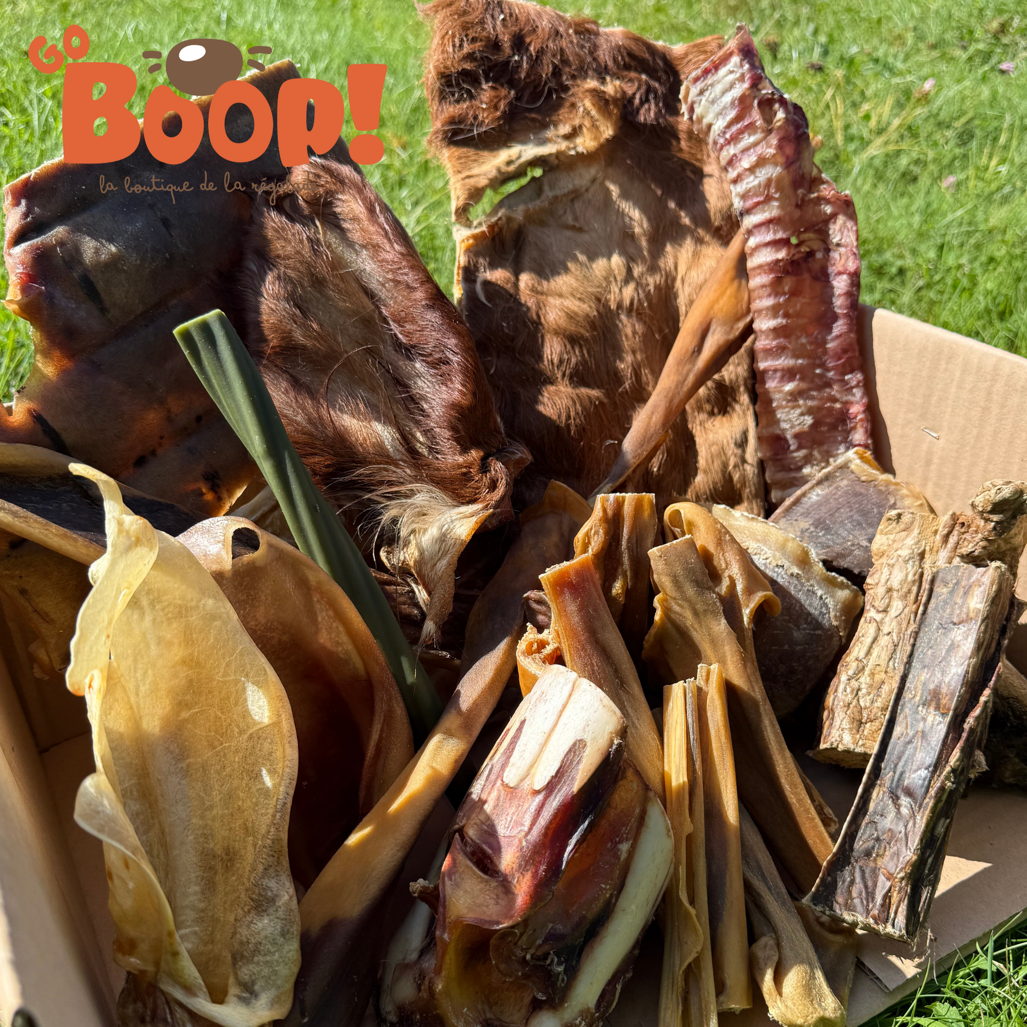 La Boop'Box Mastication Extrême - 🍂 Fall is Coming 🍂