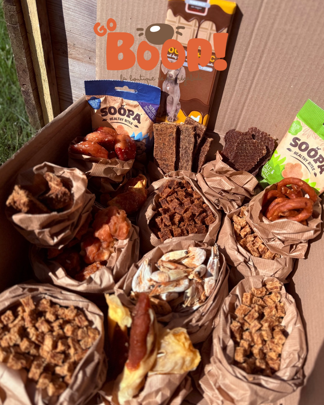 La box chiot / box récompenses Géante
