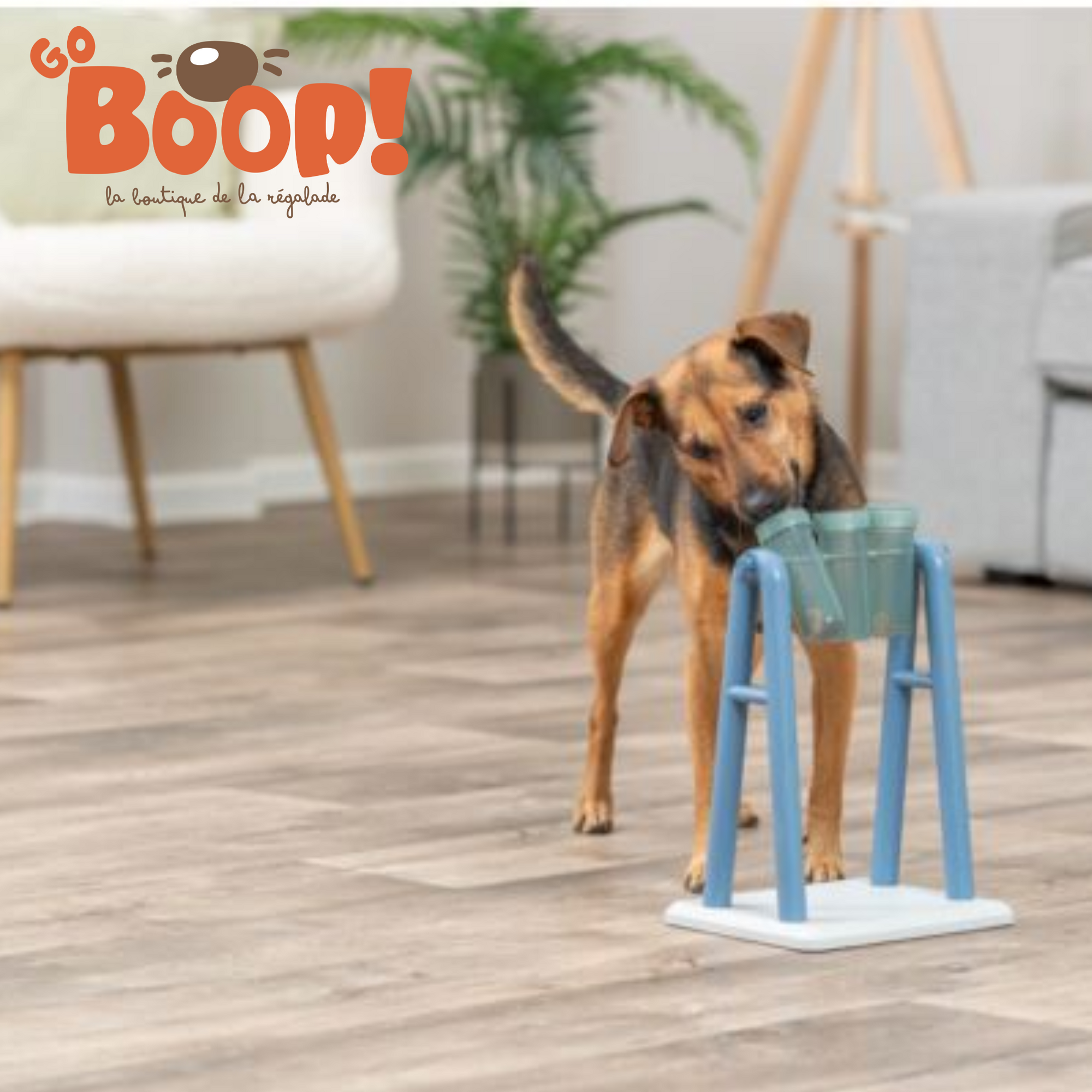 Turn Around – Jeu de stratégie pour chien
