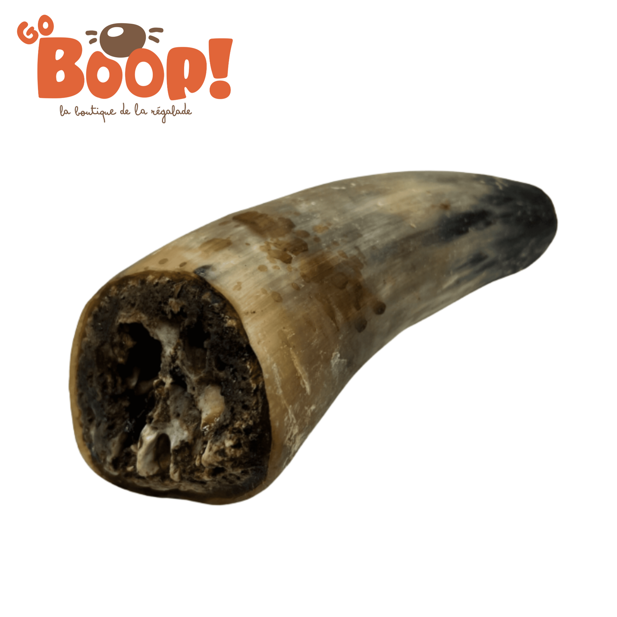 Corne de boeuf pleine