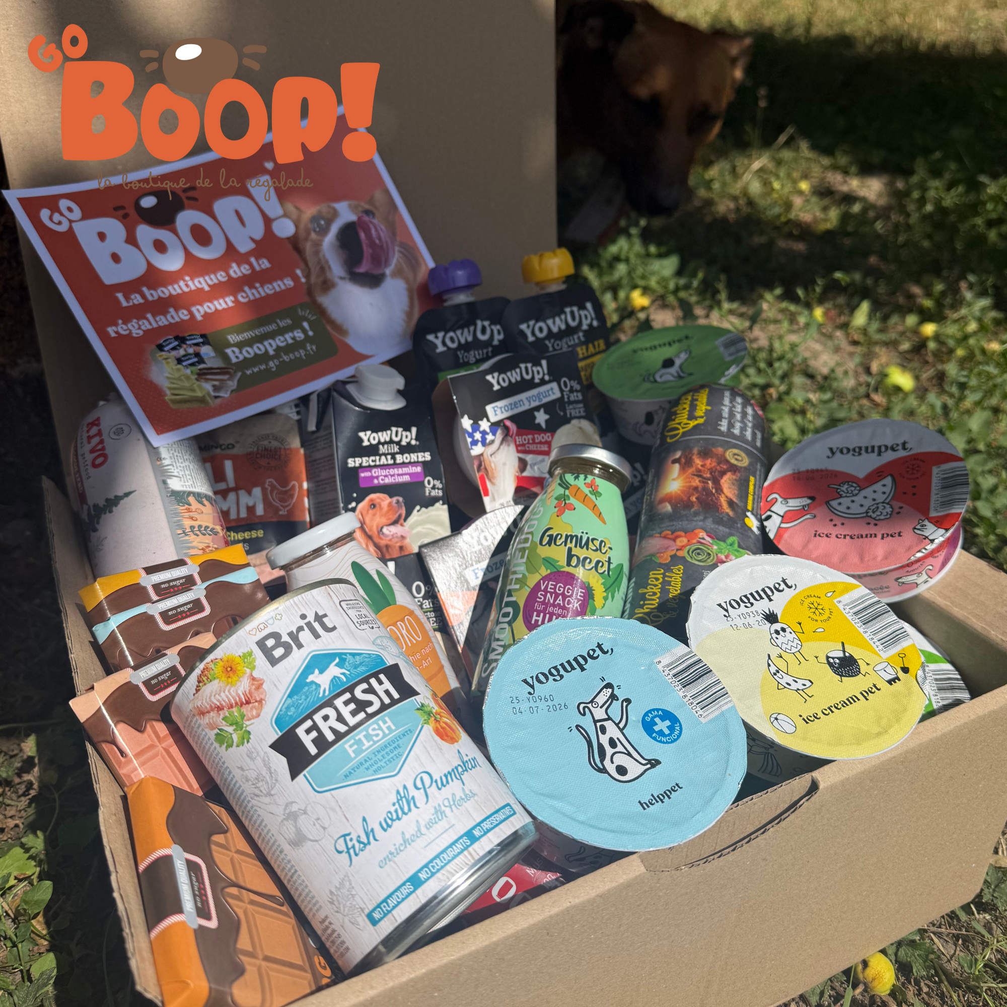 🌞 La Canicula Box XXL – Hot Summer Édition  🐶❄️