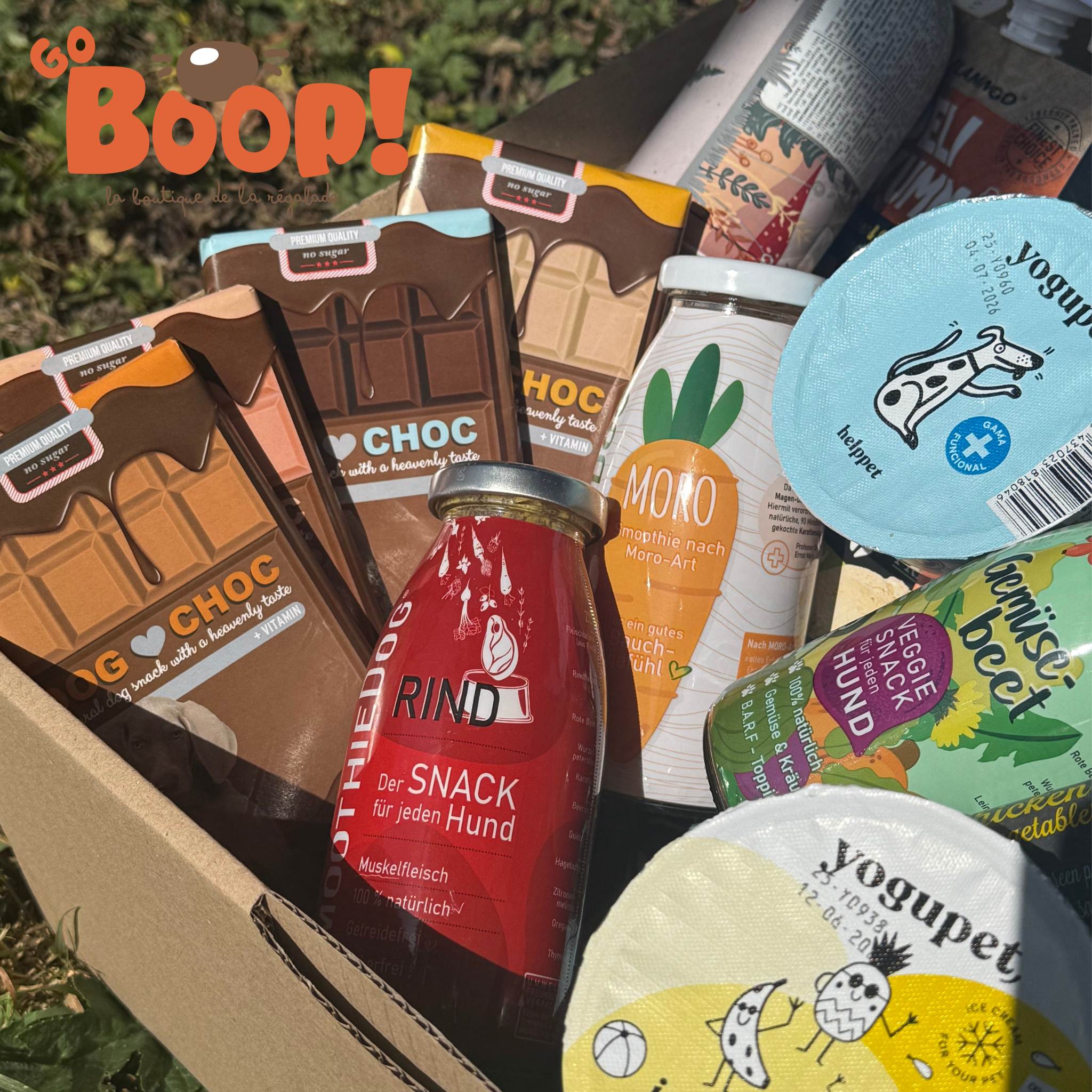 🌞 La Canicula Box XXL – Hot Summer Édition  🐶❄️