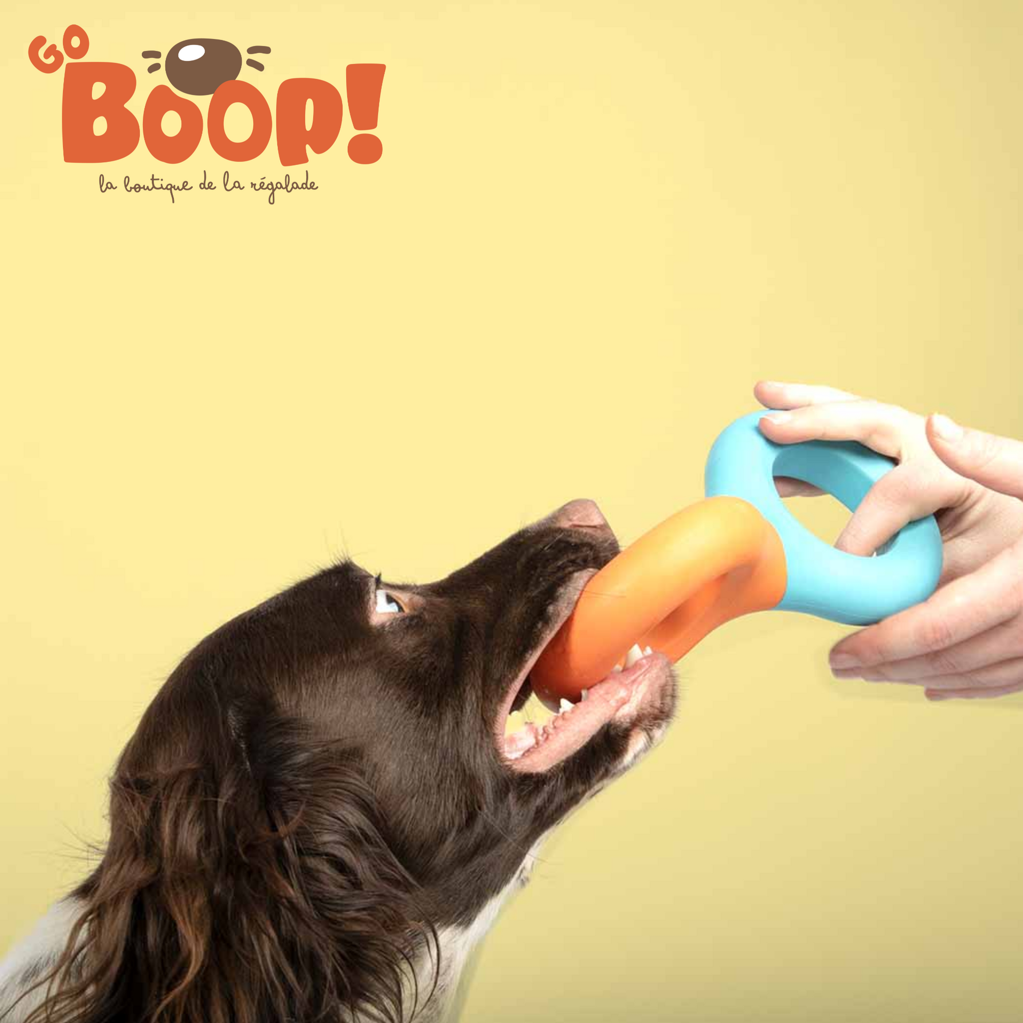 🌊 Coockoo Doodle – Bleu & Orange