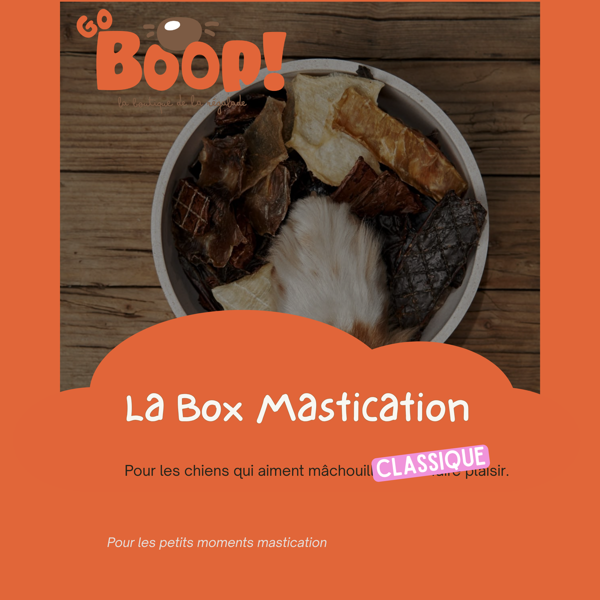La Boop'Box Mastication Classique 🦴🐶