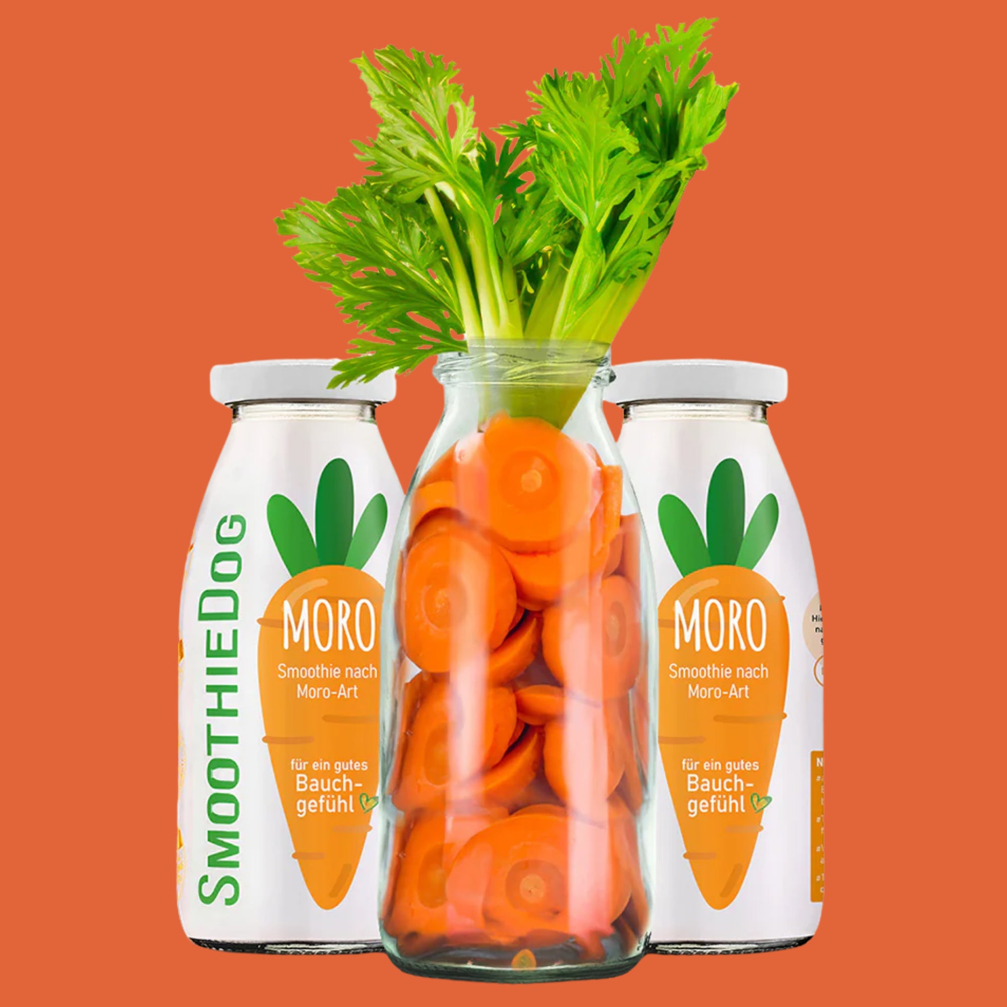 SmoothieDog Moro - Smoothie Carotte 250ML