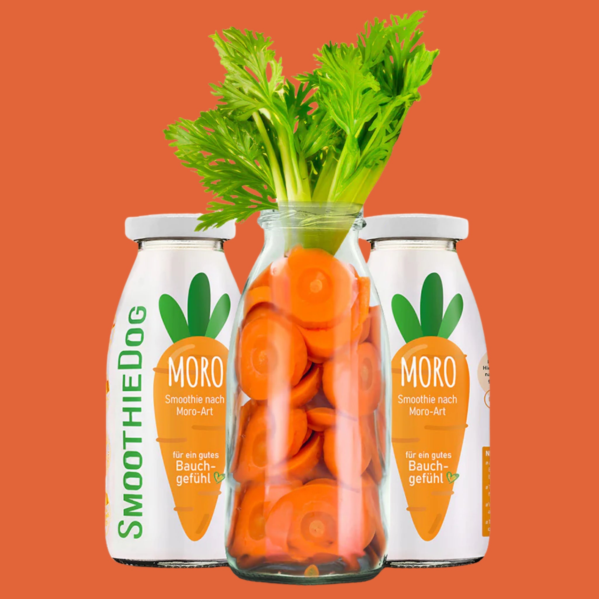 SmoothieDog Moro - Smoothie Carotte 250ML