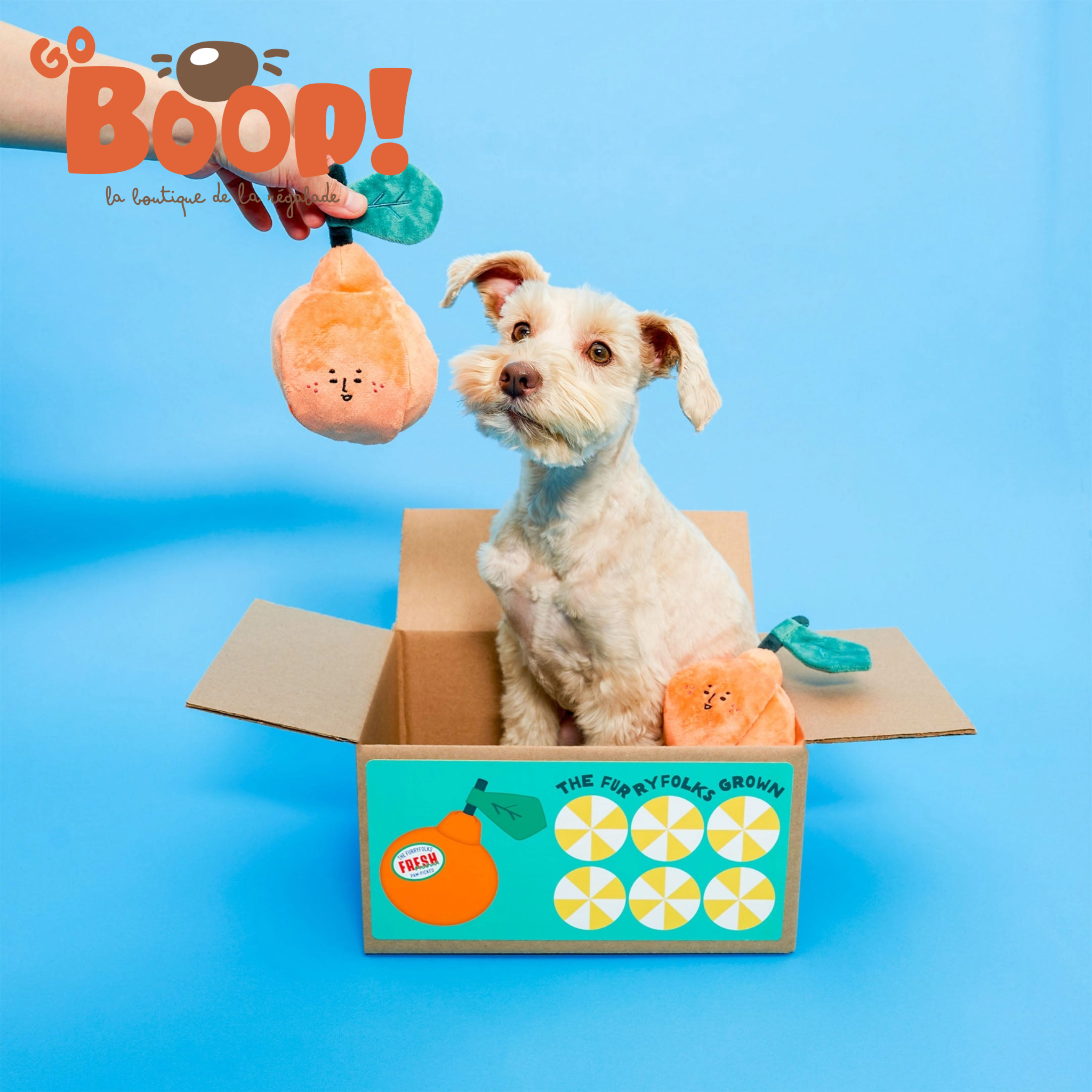 Orange de flair à éplucher - FurryFolks