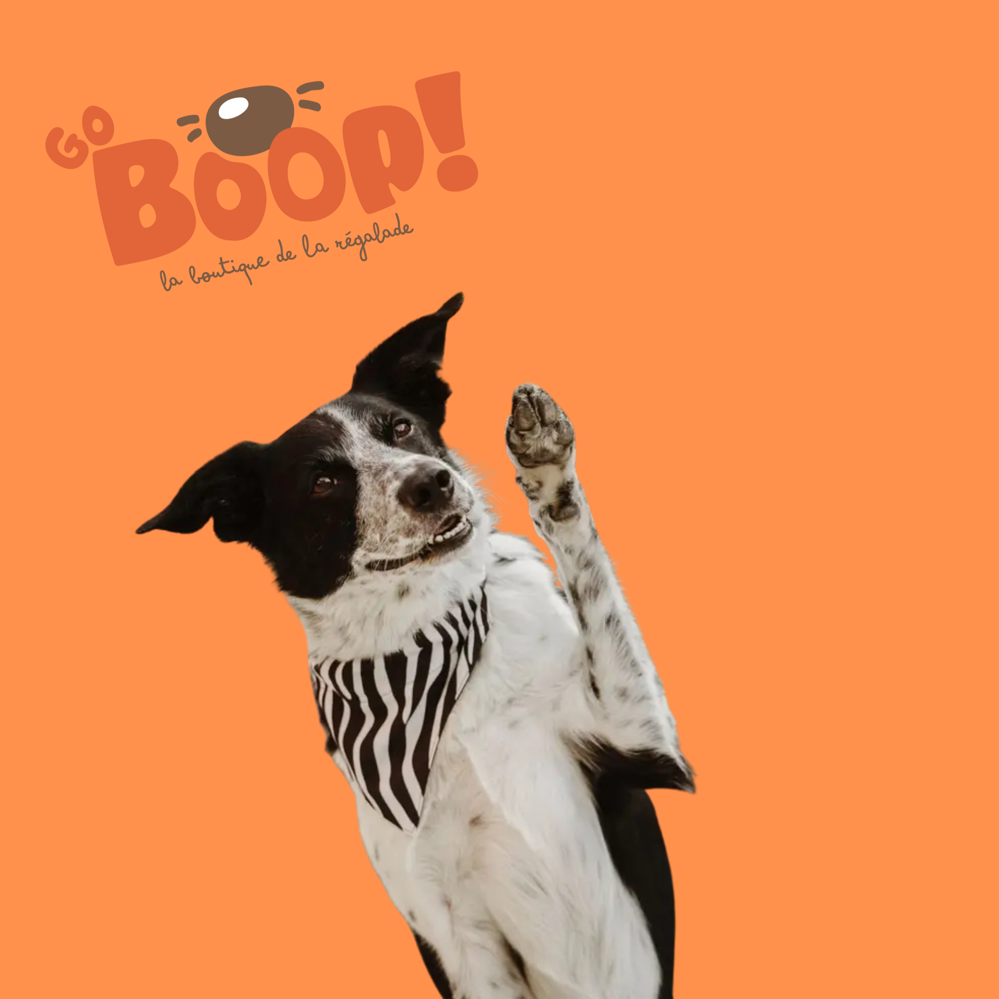 Bandana réversible - Safari 🦓🖤