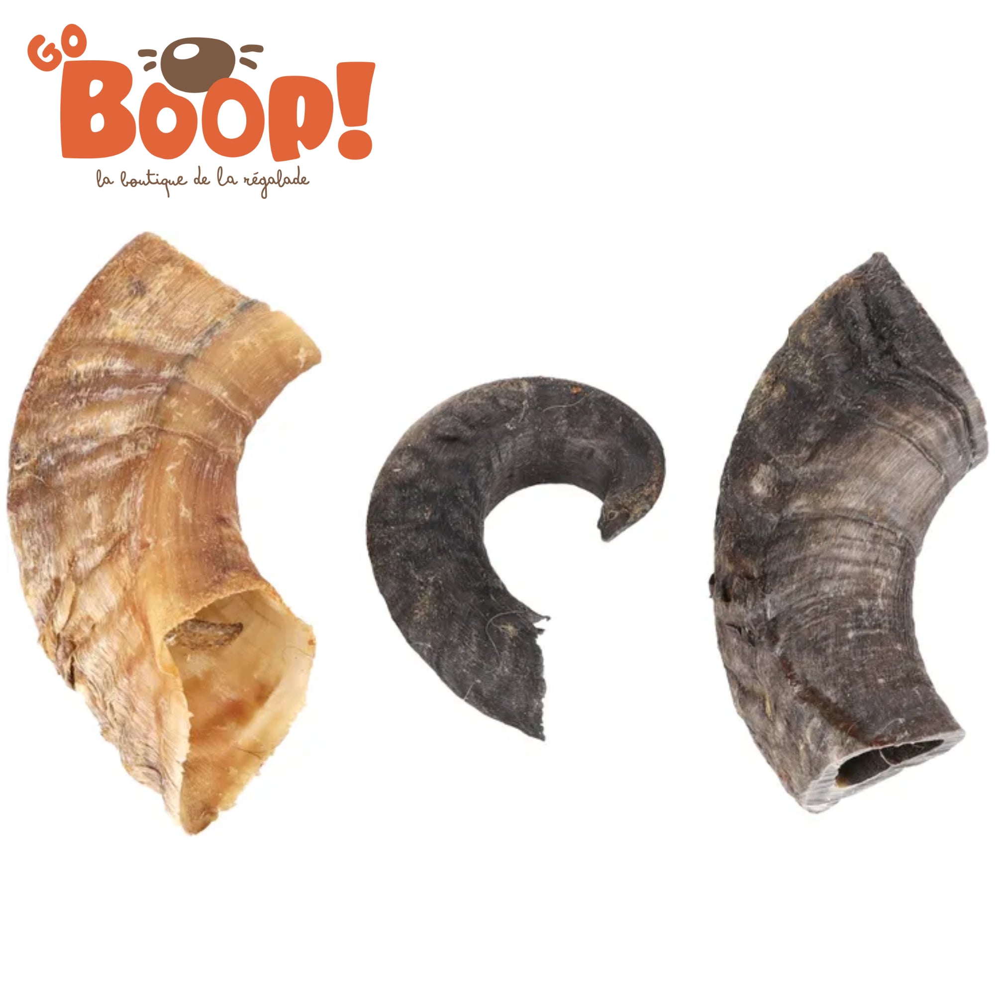 Corne de mouton – Friandise naturelle à mâcher pour chien