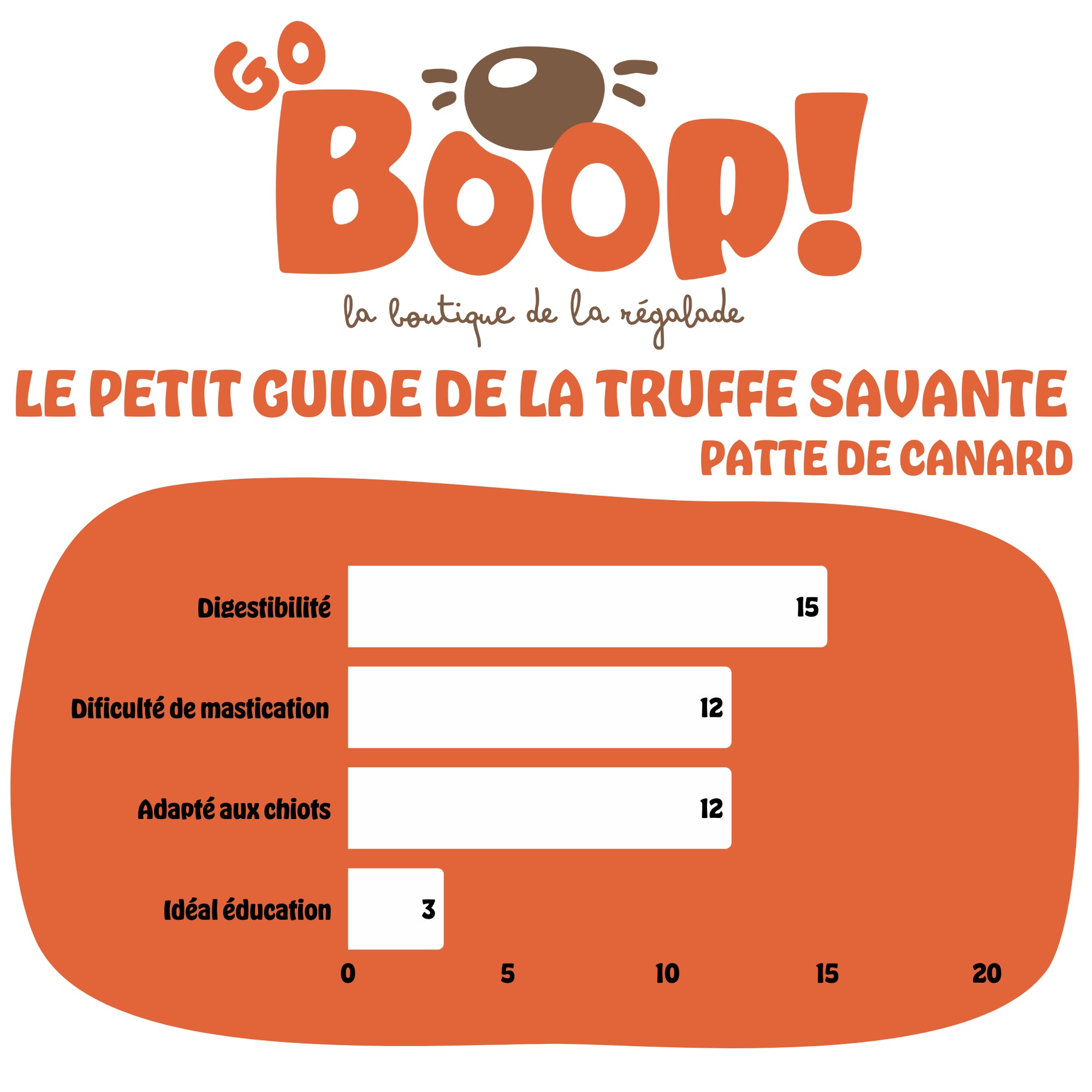 Patte de canard XL – Friandise naturelle à mâcher pour chien