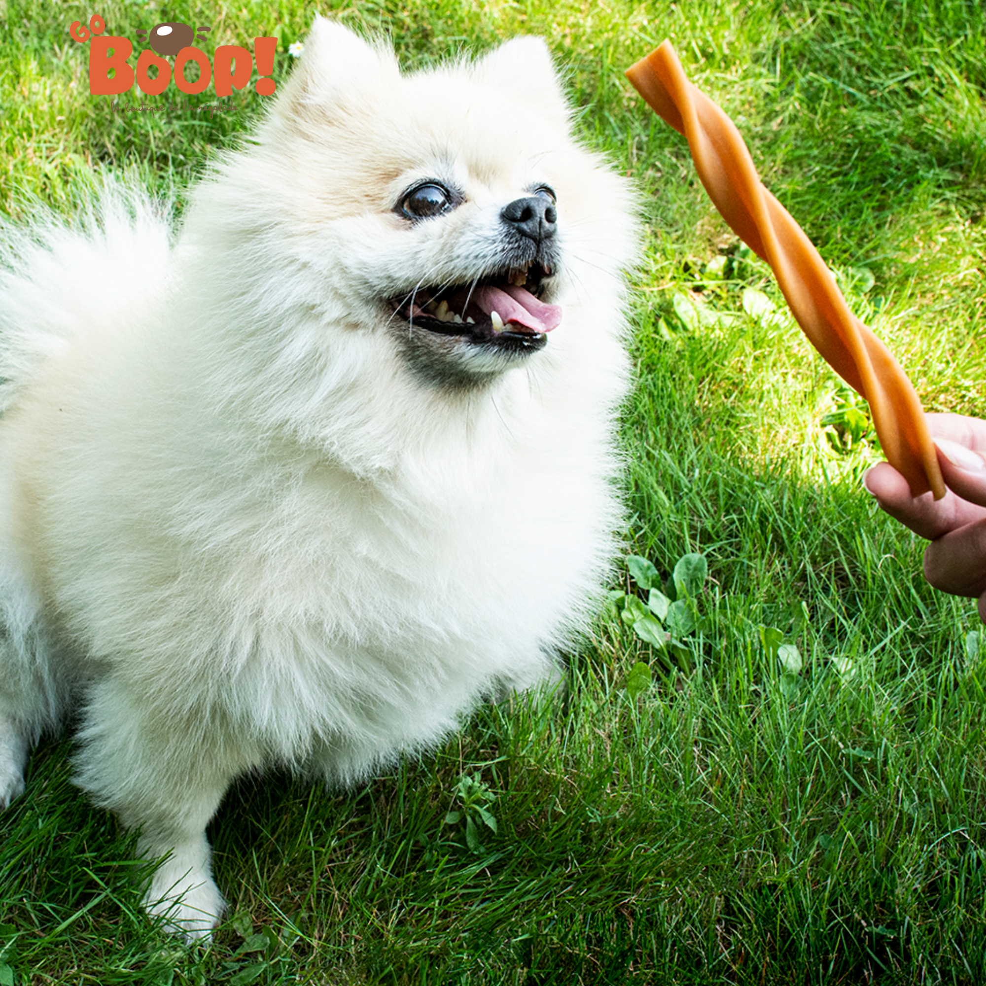 Fruity Dental Swirls S – Friandise végétale naturelle pour chien