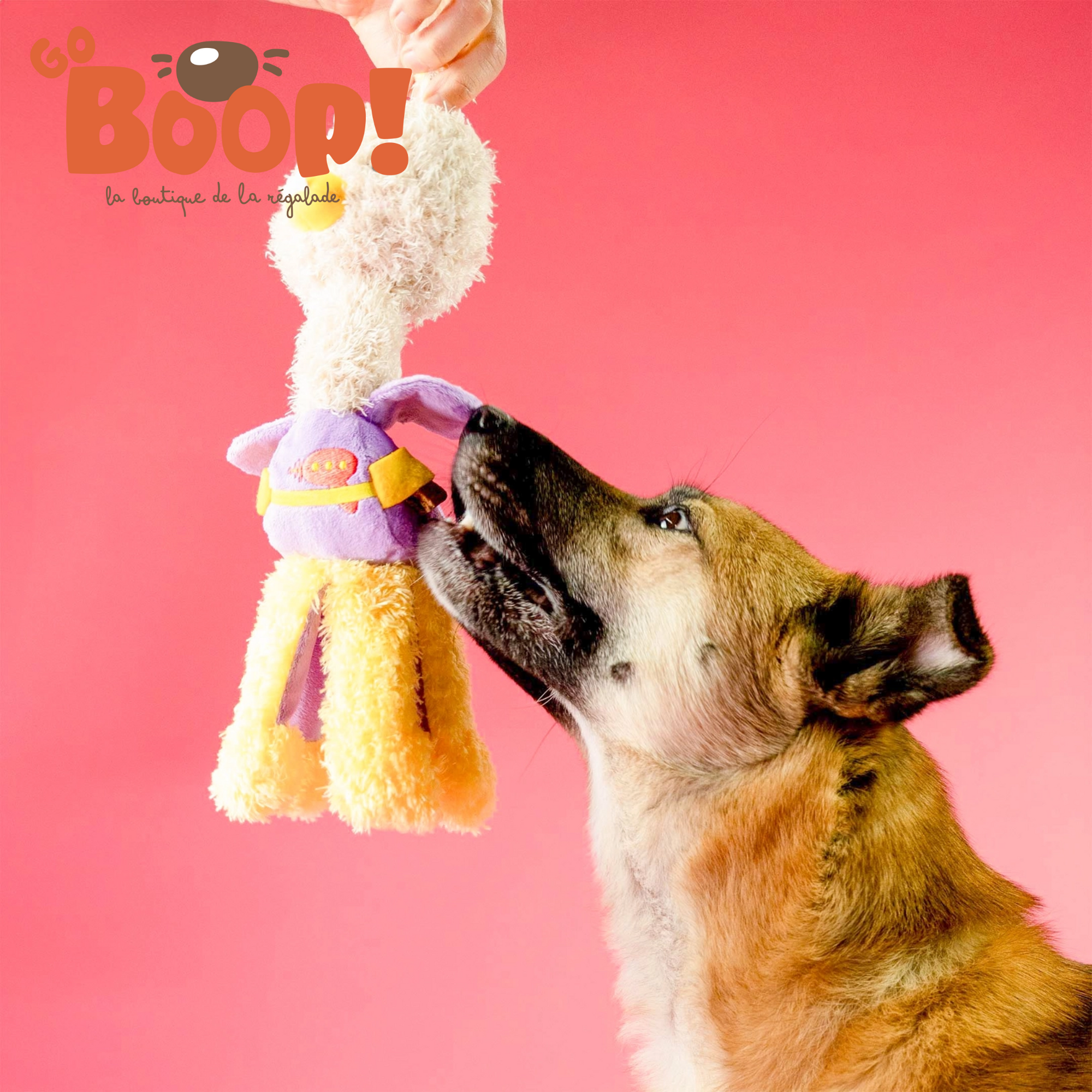 Autruche de Flair - FurryFolks