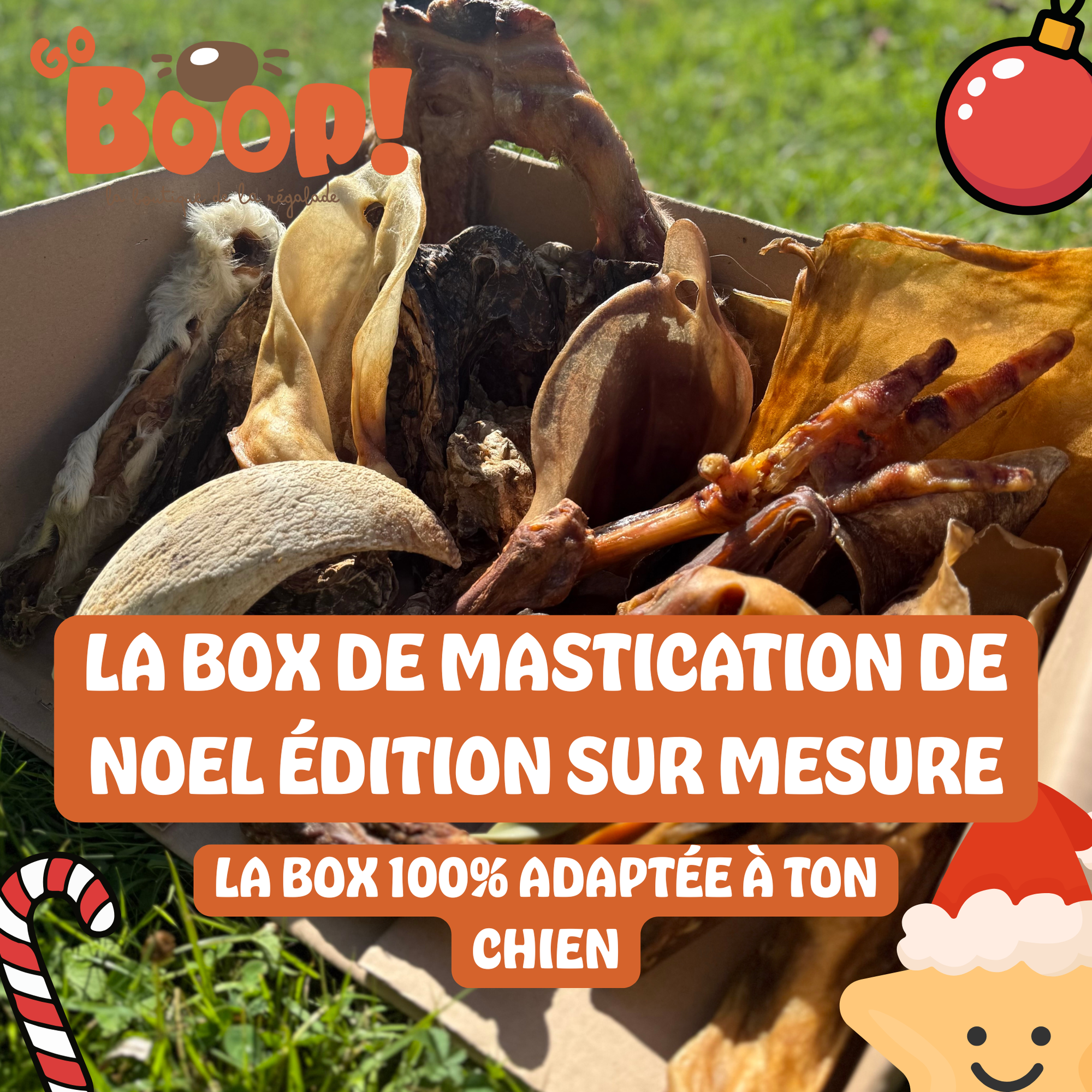 La Boop'Box de Mastication - Christmas Deluxe