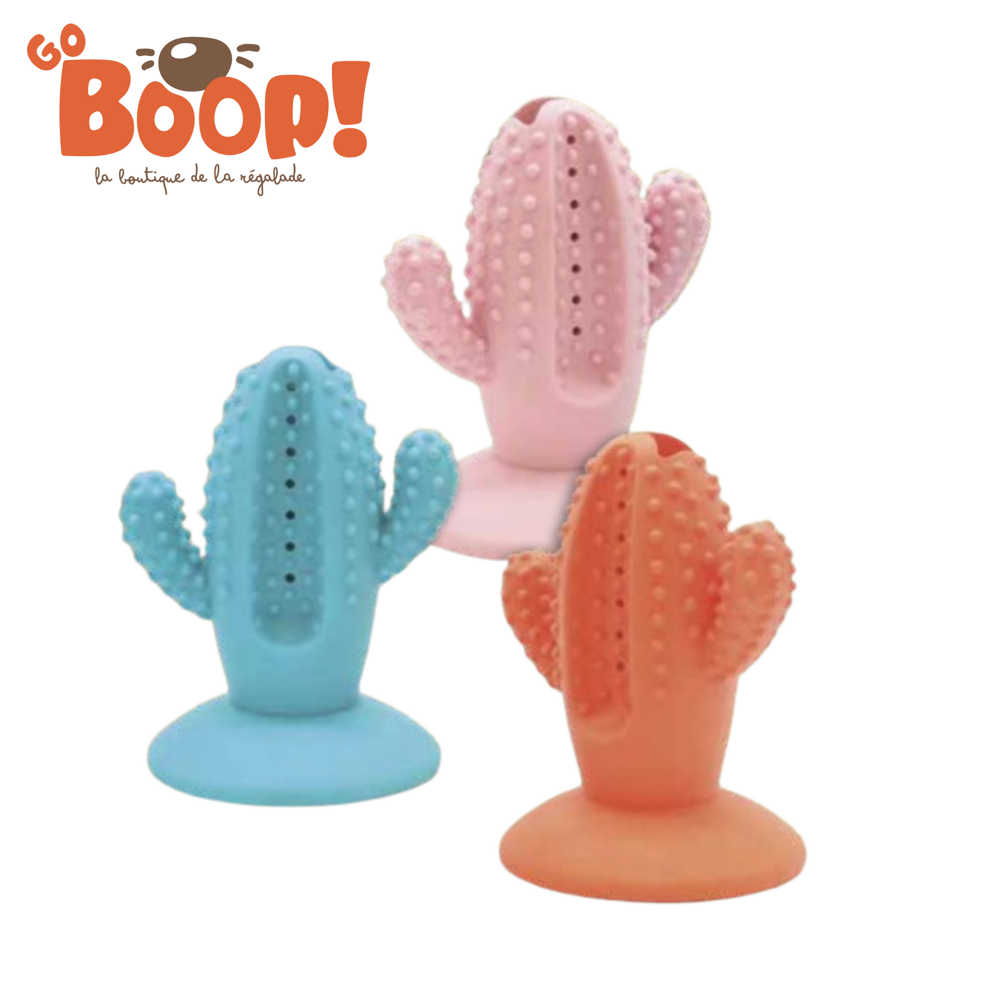 Cactus de léchage ventousé