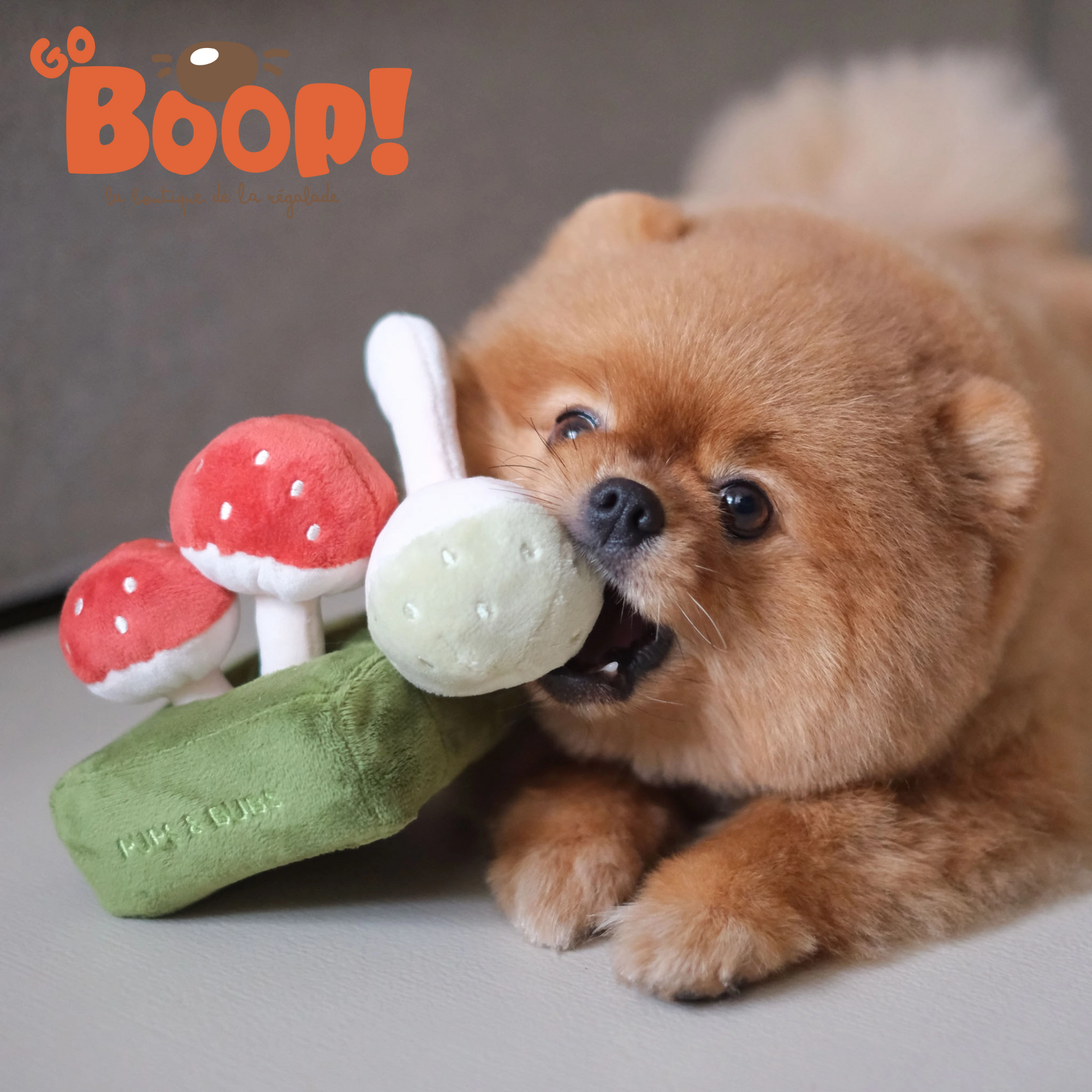 Champignons de flair enchantés - Pups and Bubs