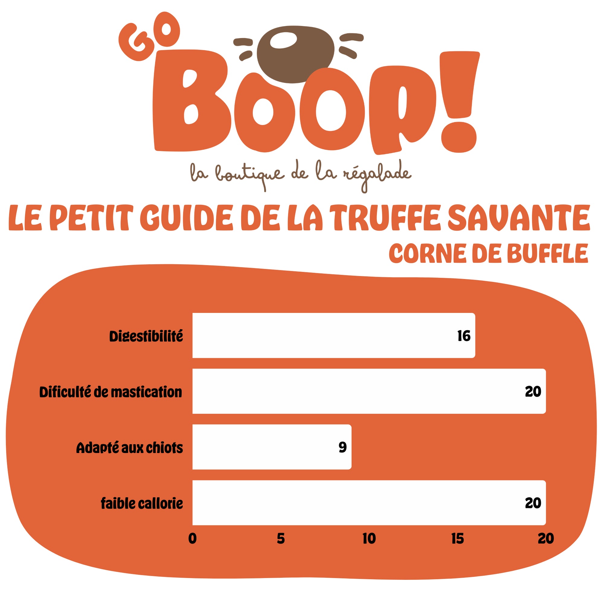 Corne de buffle – Friandise naturelle à mâcher pour chien (M/L)