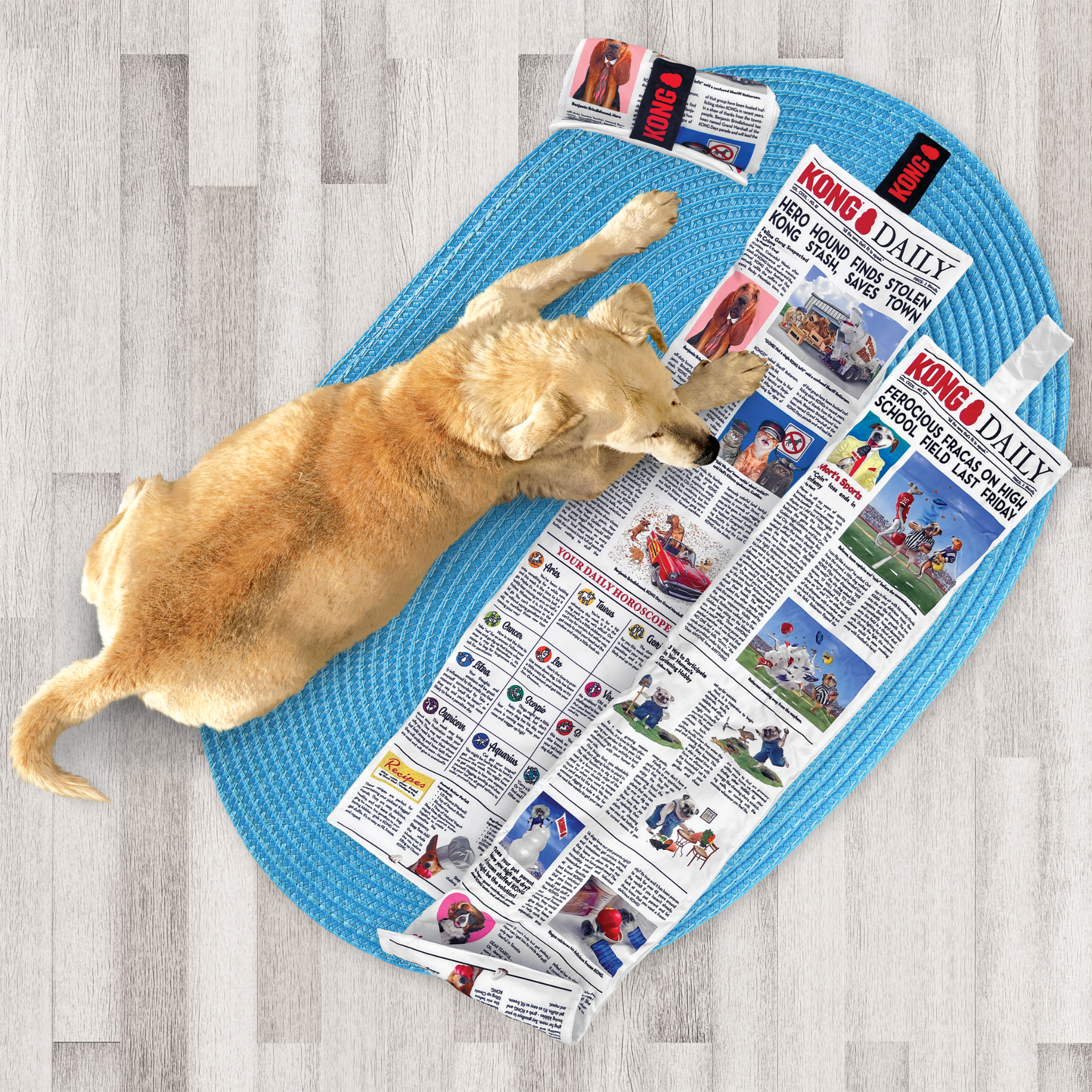 Kong Daily - Tapis de Flair