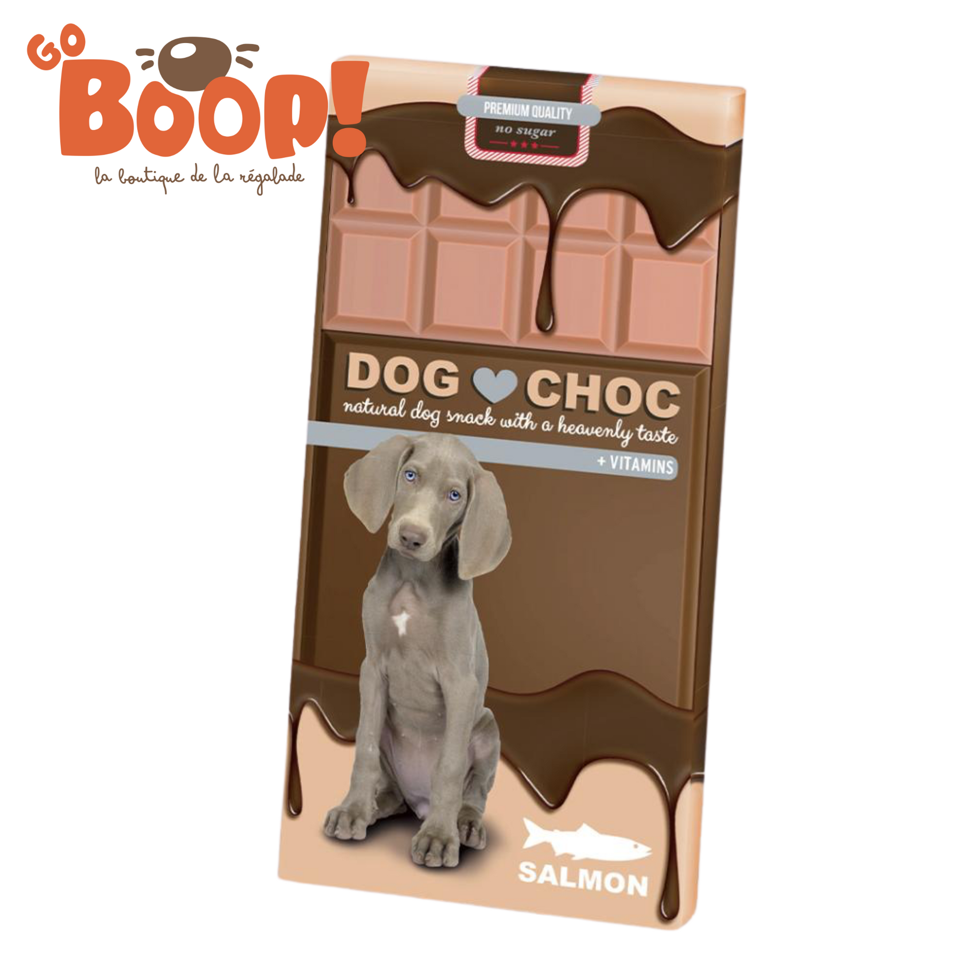 Dog Choc - Saumon