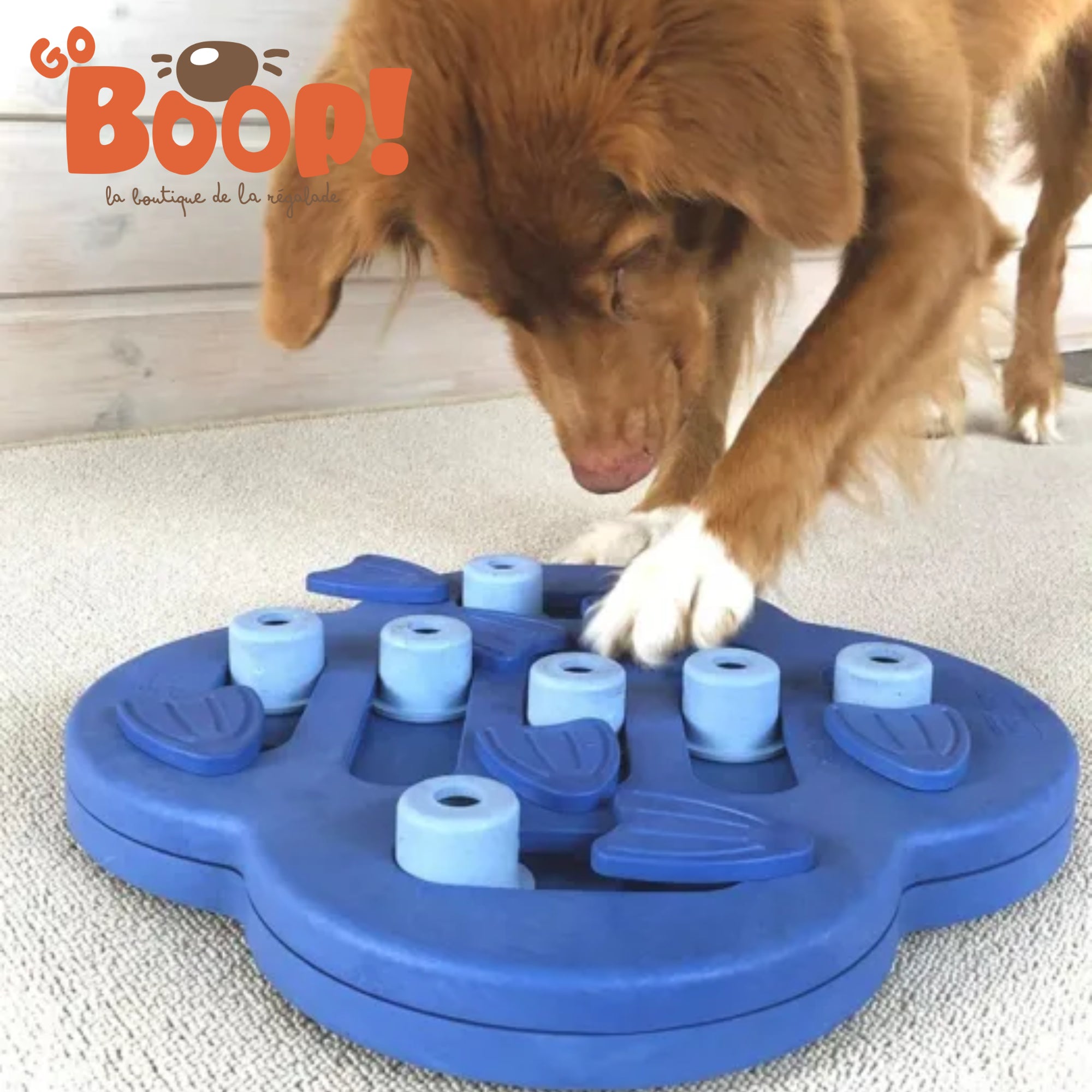 Nina Ottosson - Hide and Slide