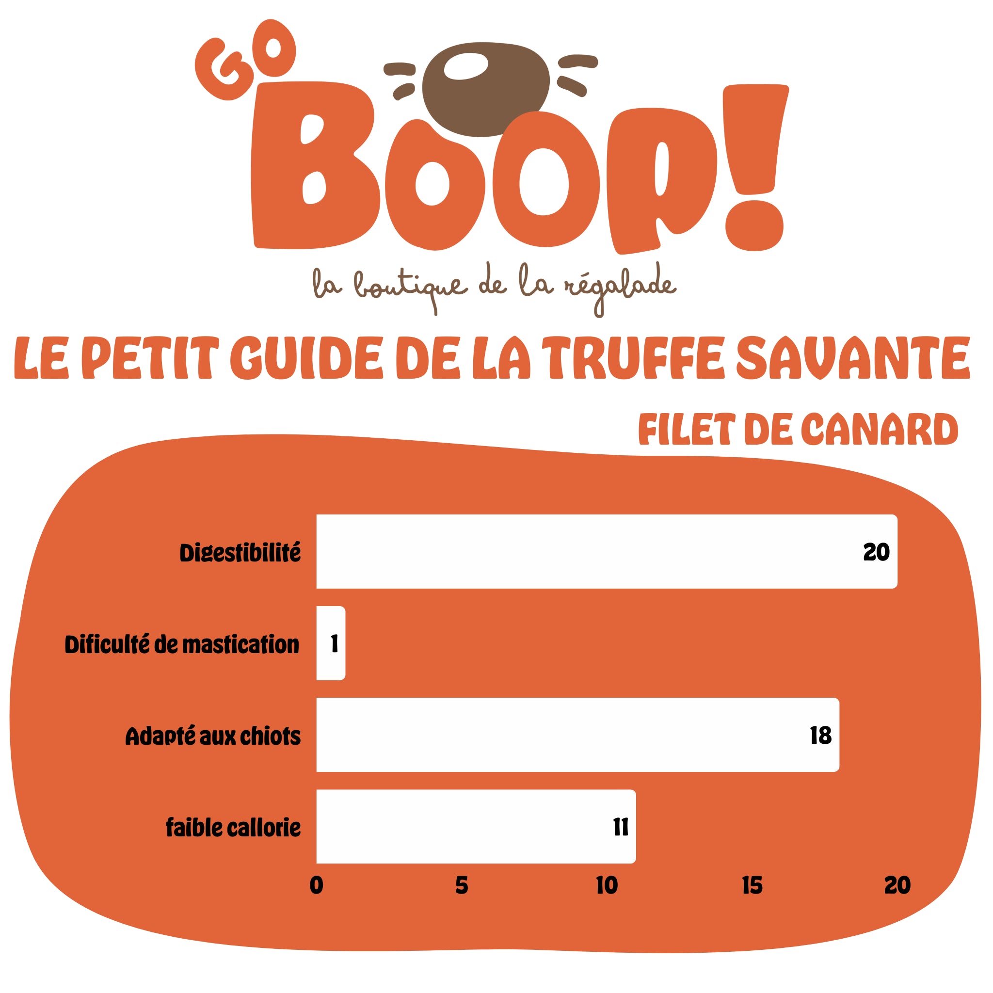 Filet de canard