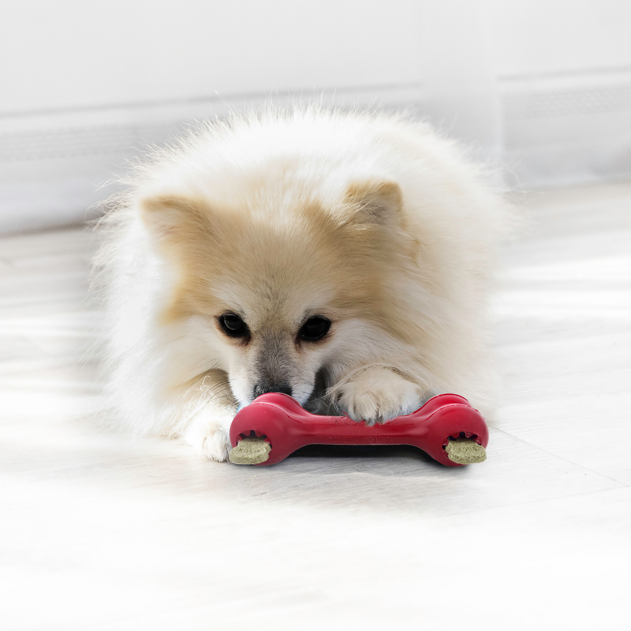 Kong Goodie Bone L