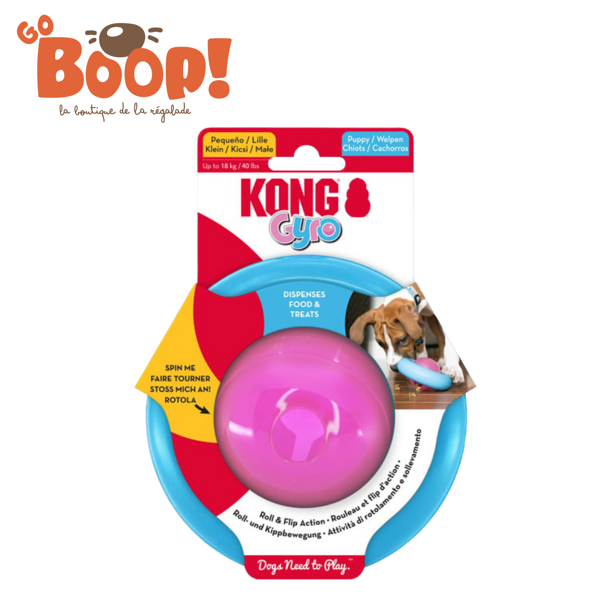 Kong Gyro - Chiot