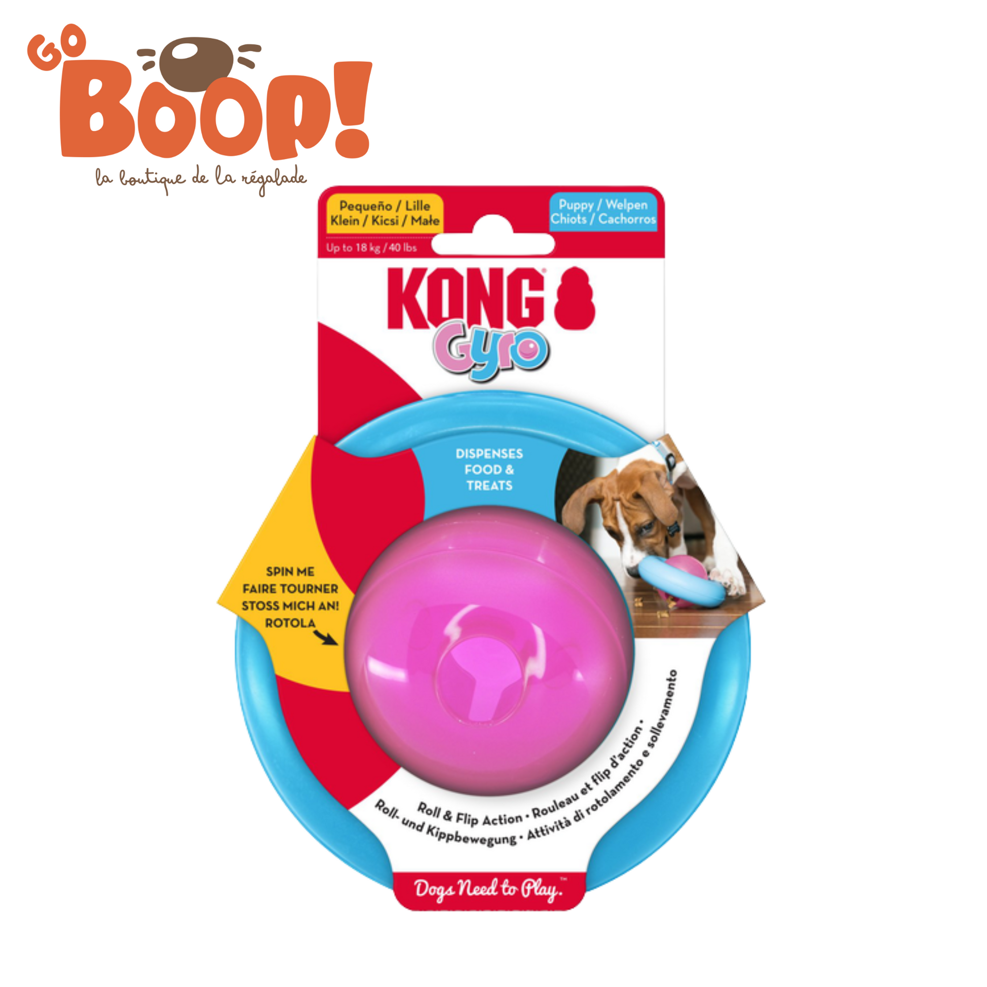 Kong Gyro - Chiot