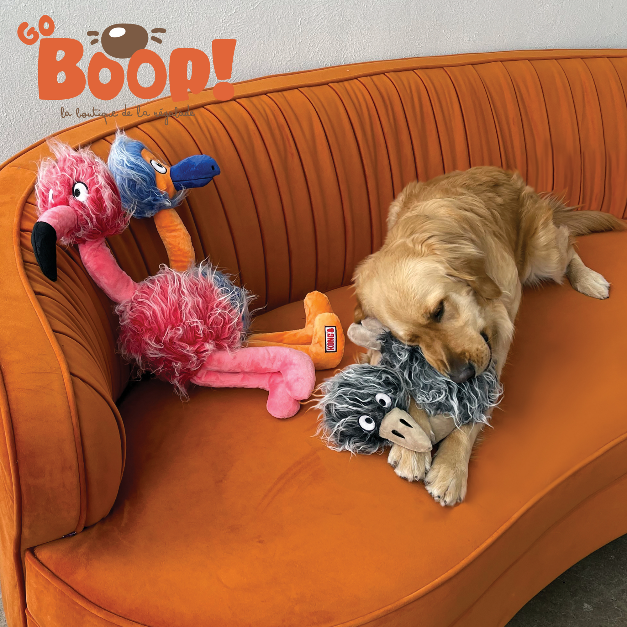 Autruche Kong Jumbo -