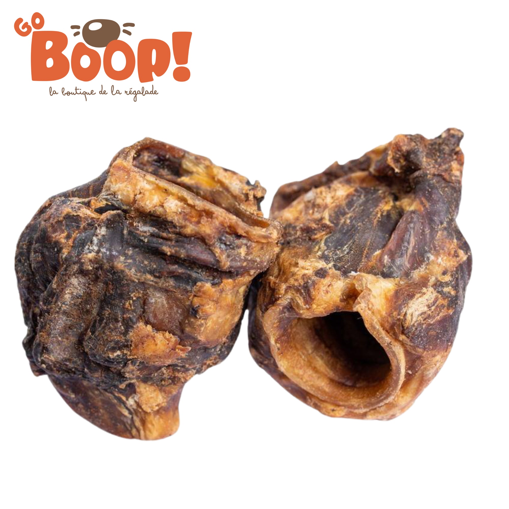 Larynx de boeuf