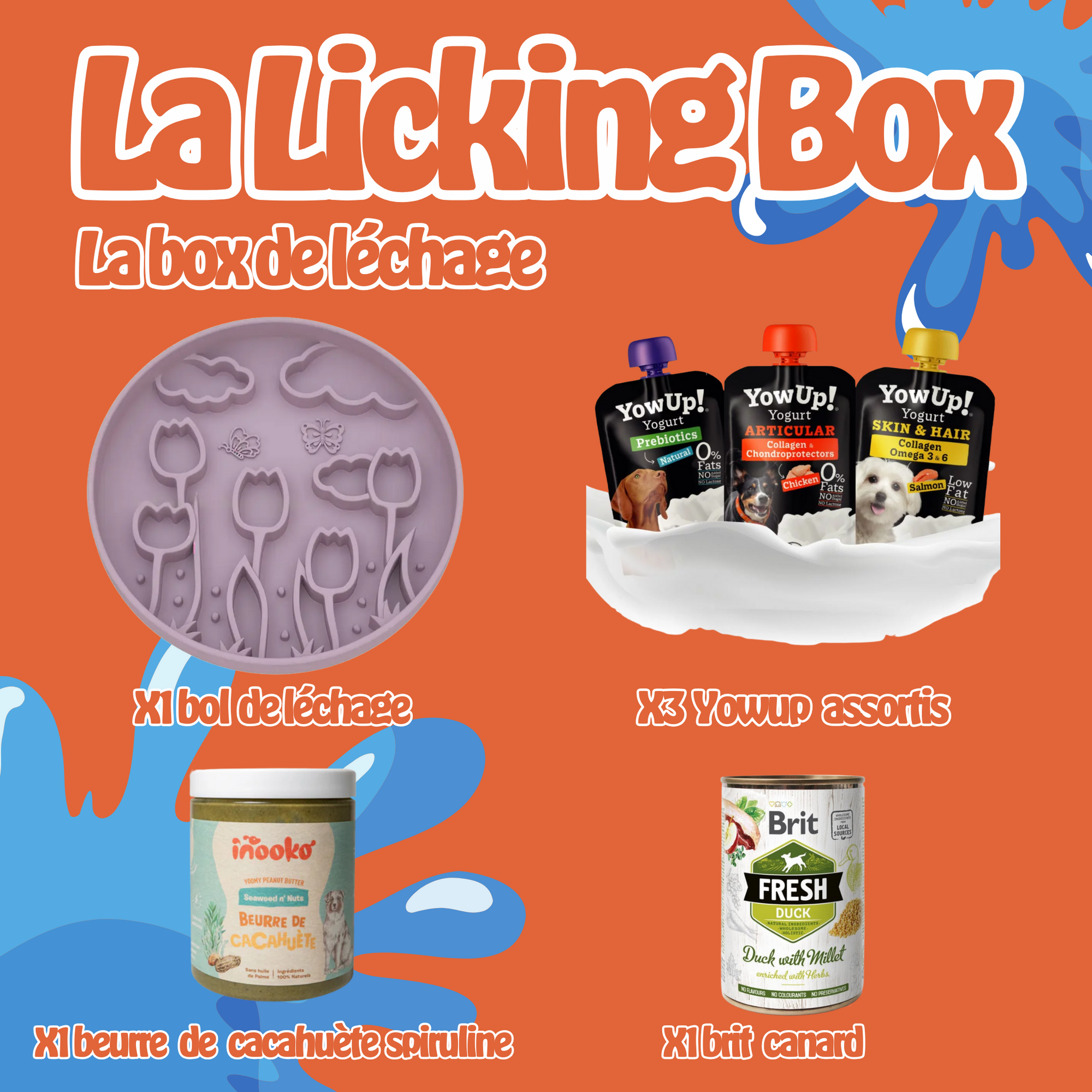 🧡 La Licking Box – Pour les pros du léchage !