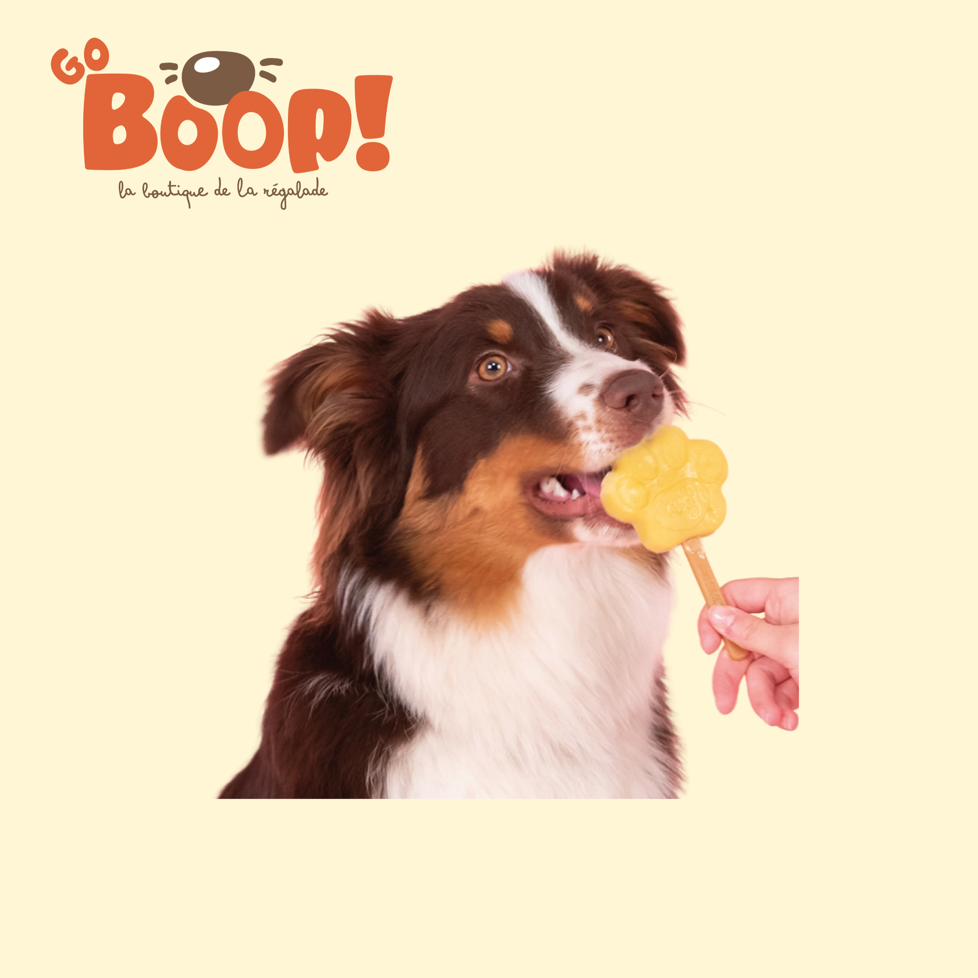 Moule à glace taille M 🍦 - Smoofl Dog