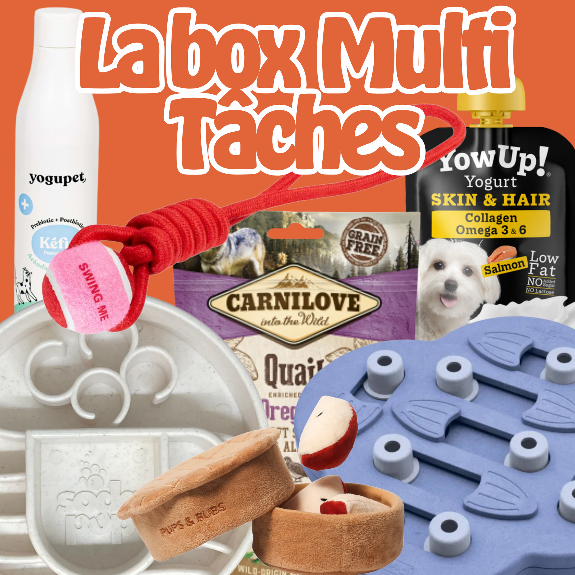 La box Multi-Tâches 🧠🎾